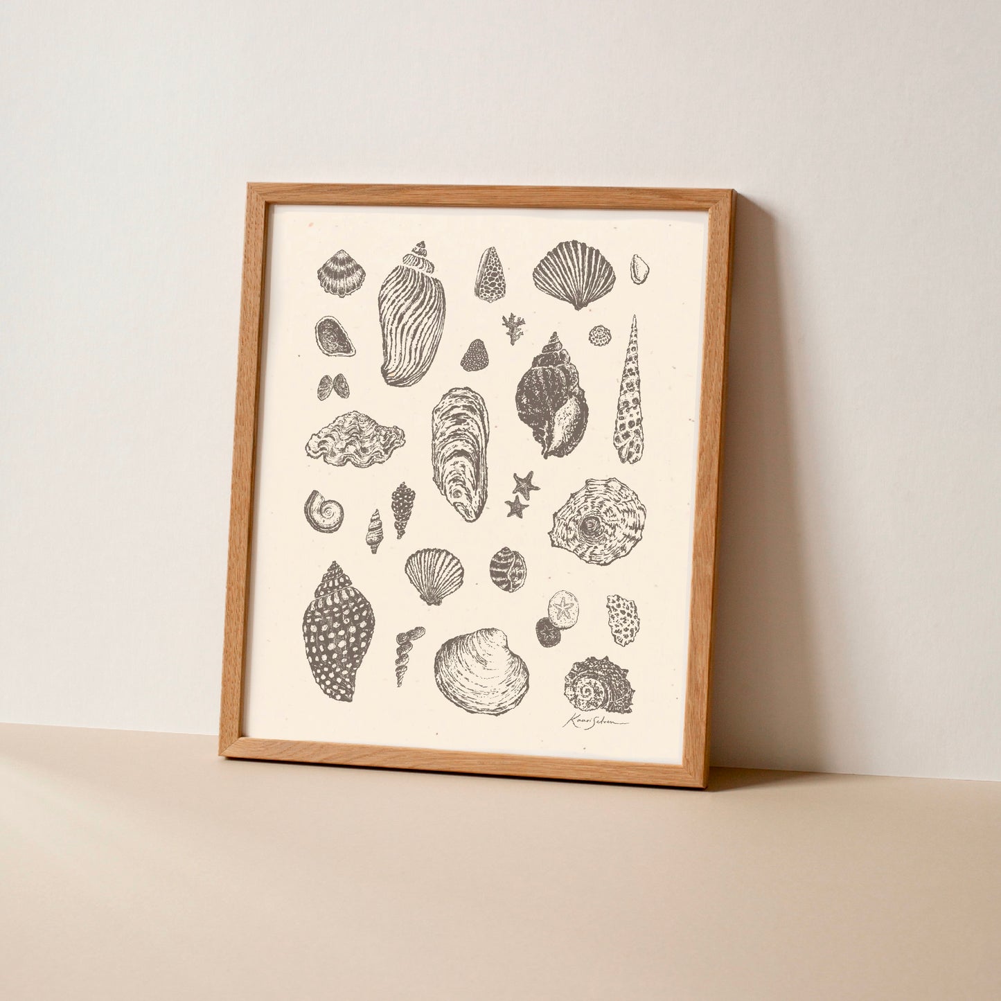 Seashell Sketches I Art Print