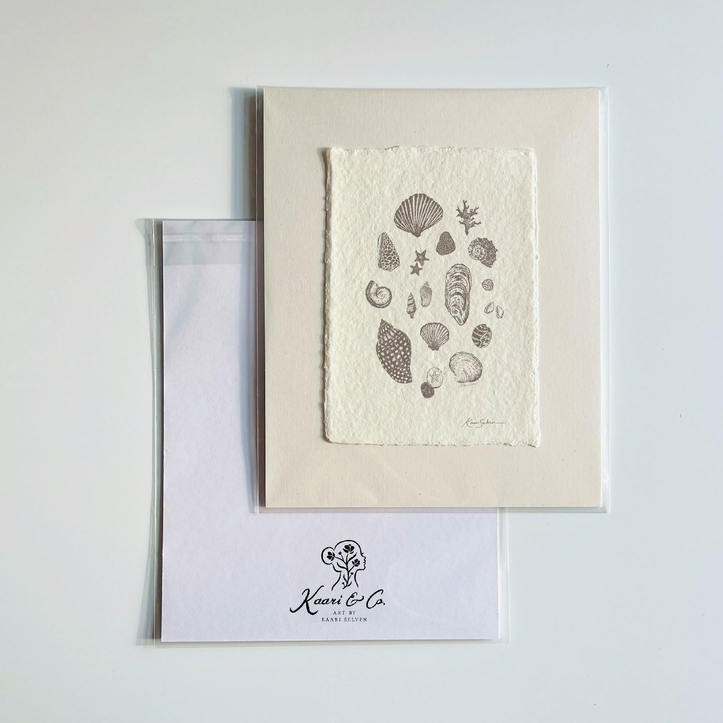 Seashell Sketches II Heirloom Art Print