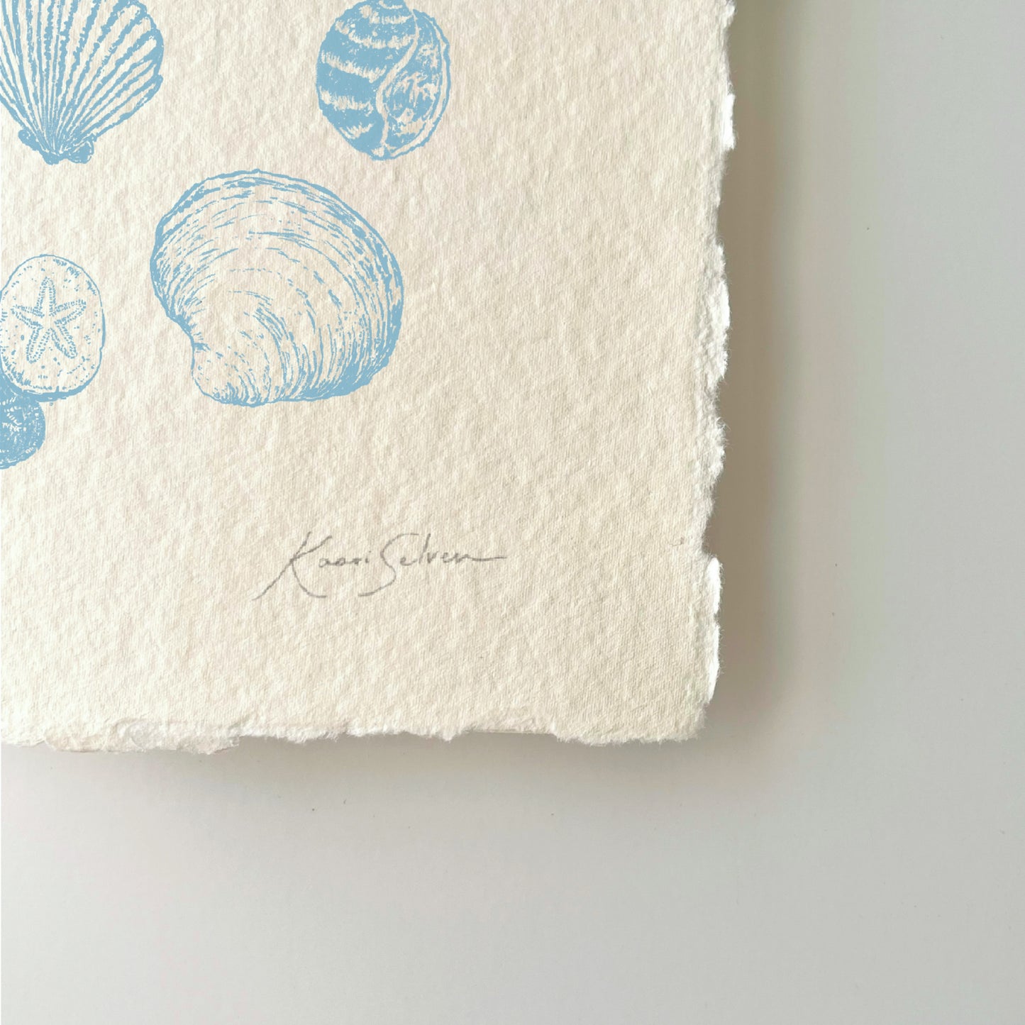 Seashell Sketches II Heirloom Art Print