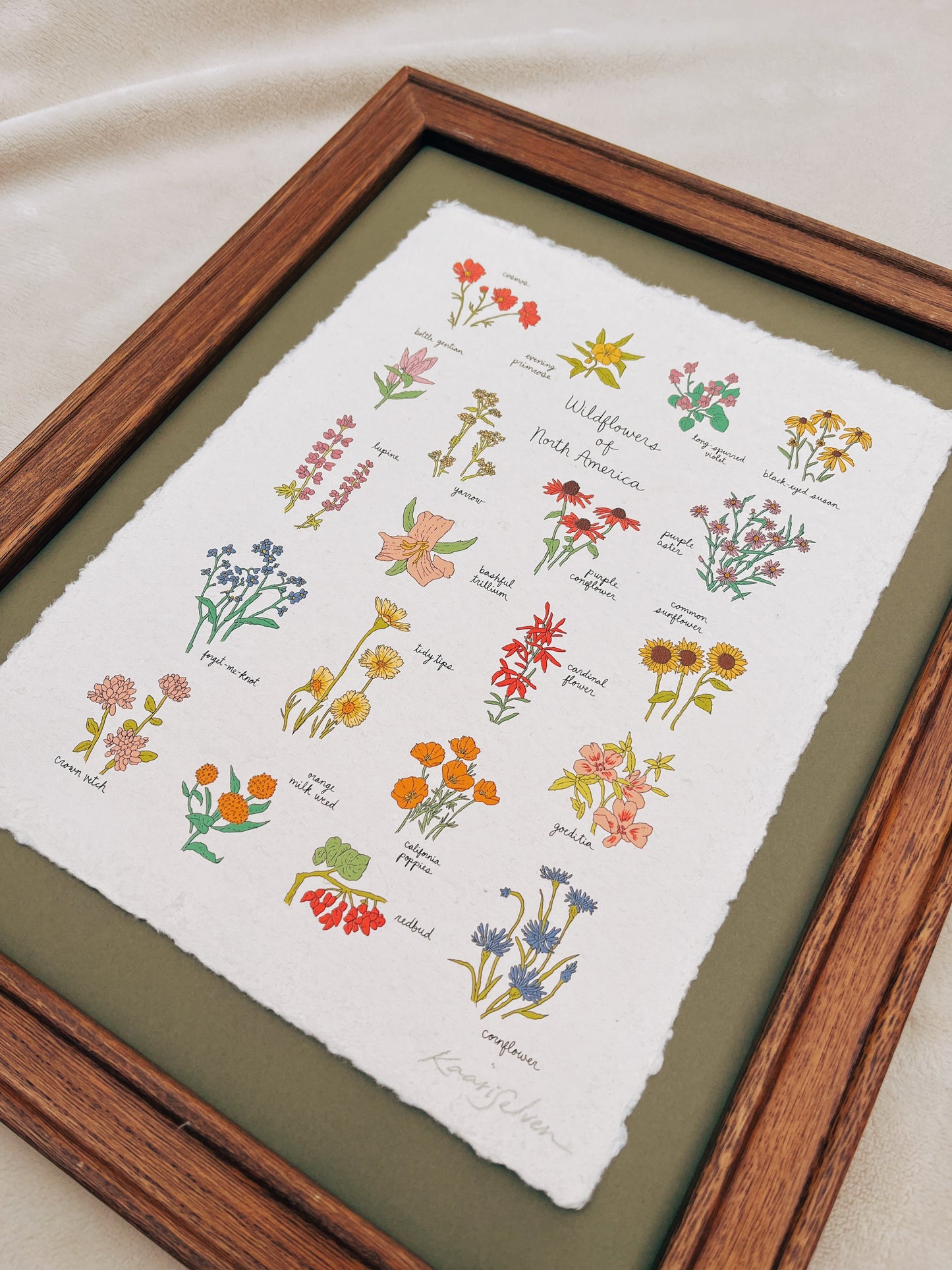 Wildflowers of North America Heirloom Art Print