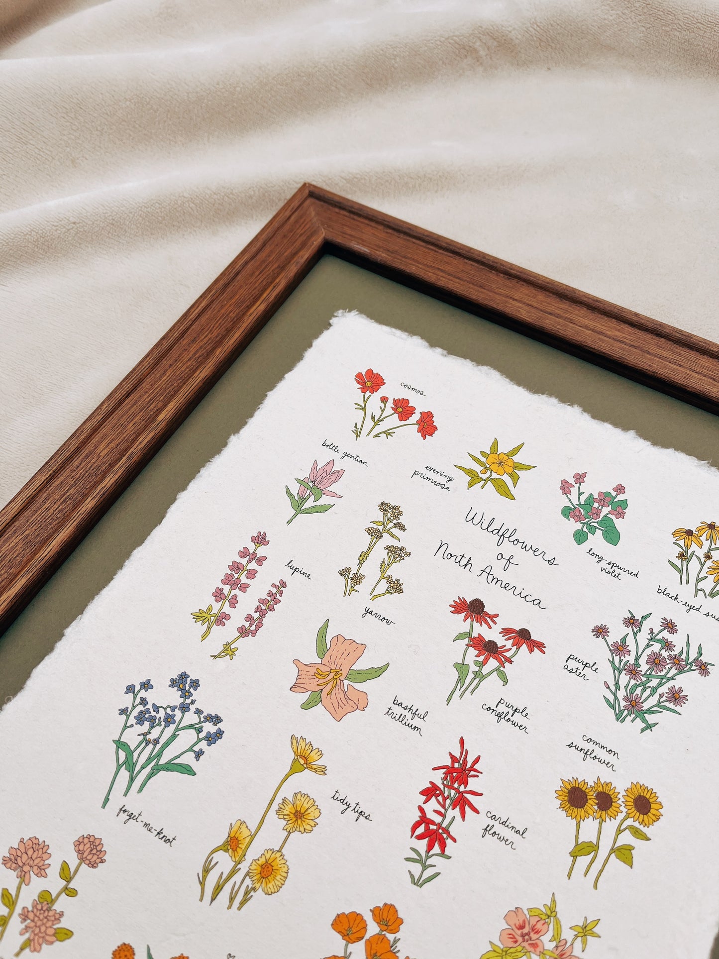 Wildflowers of North America Heirloom Art Print