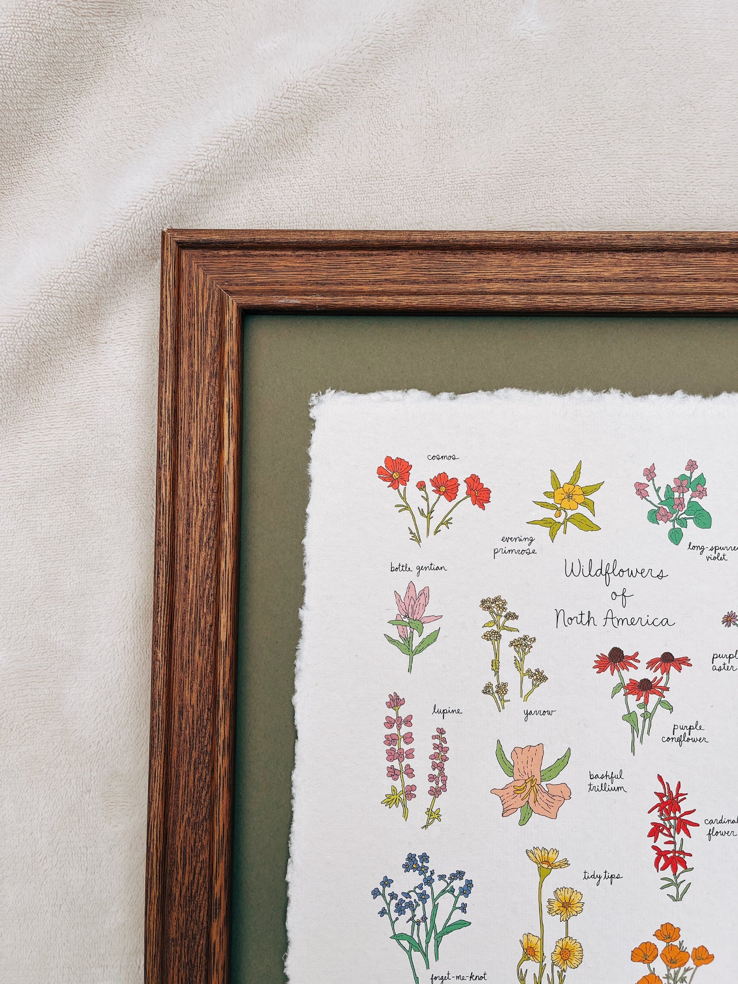 Wildflowers of North America Heirloom Art Print