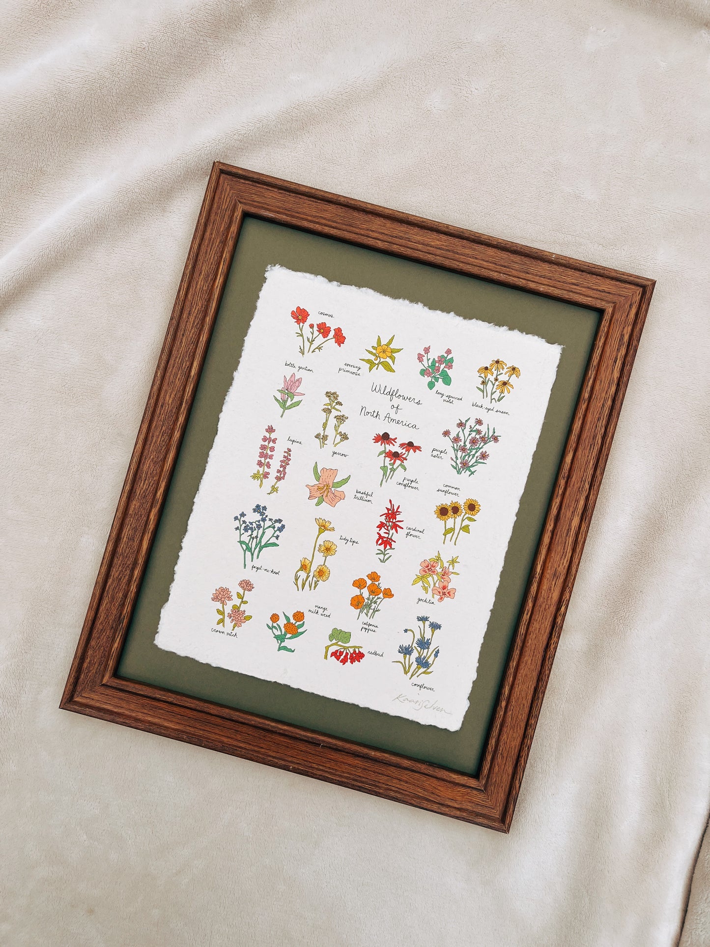 Wildflowers of North America Heirloom Art Print