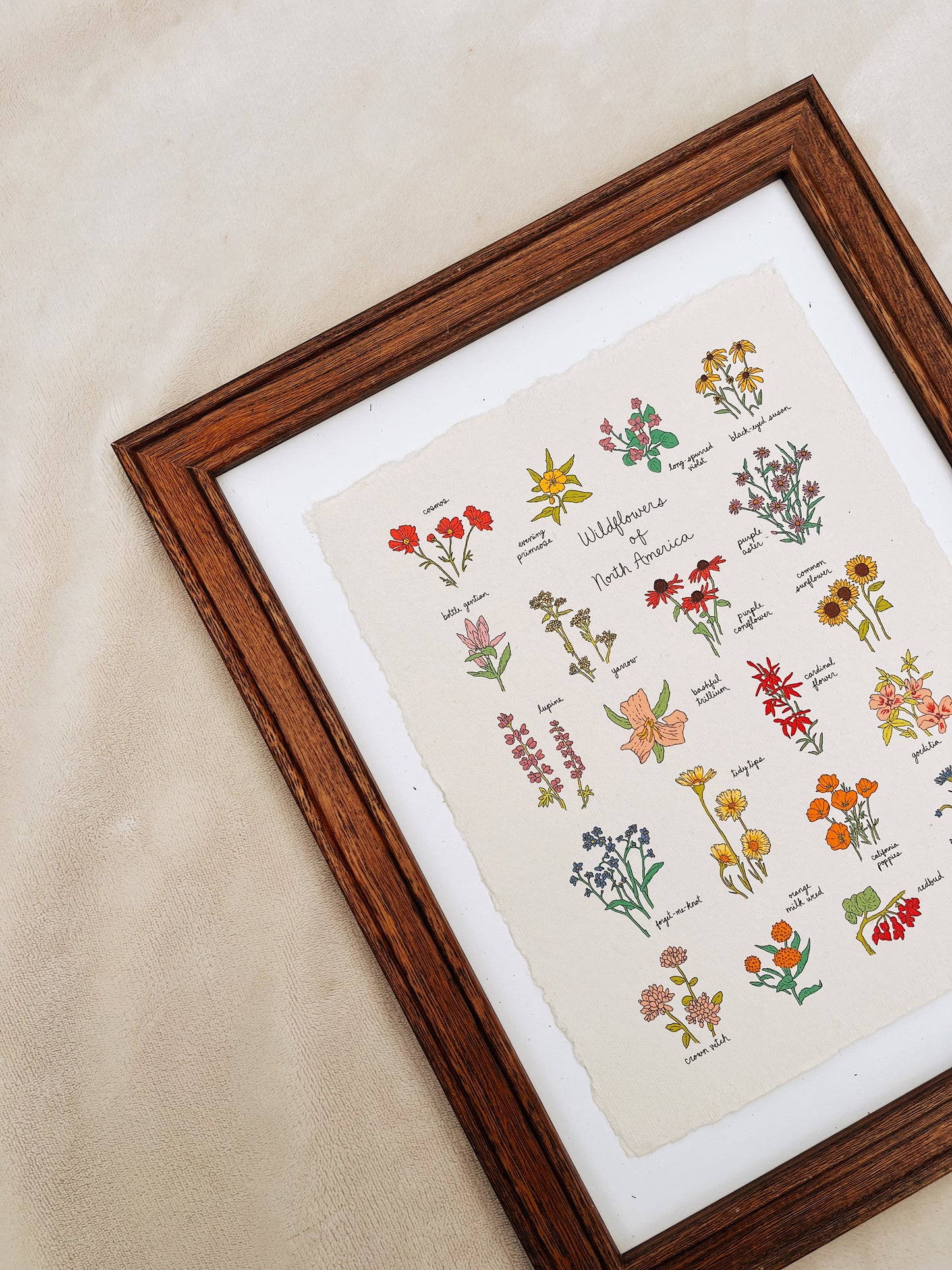 Wildflowers of North America Heirloom Art Print