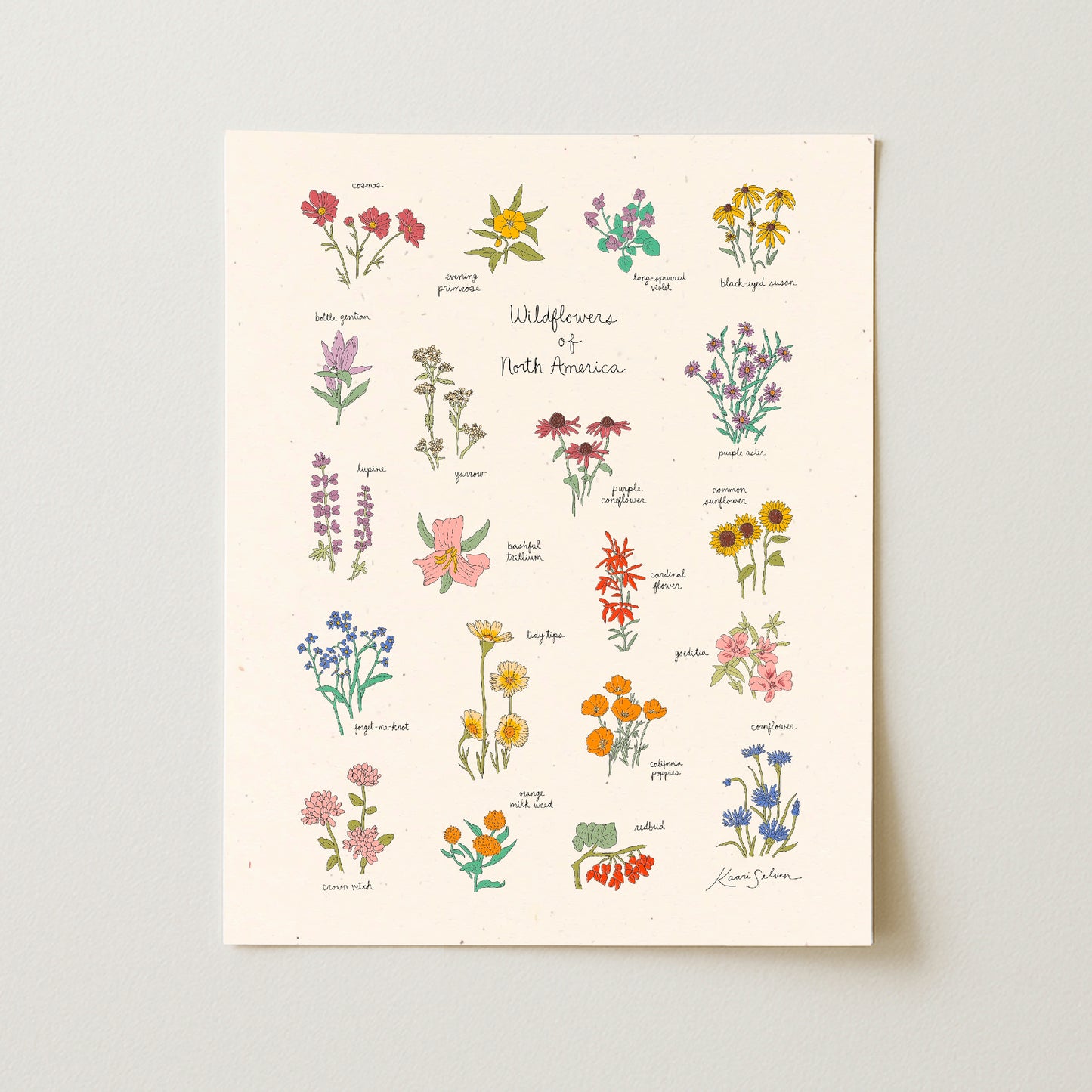 Wildflowers of North America Art Print