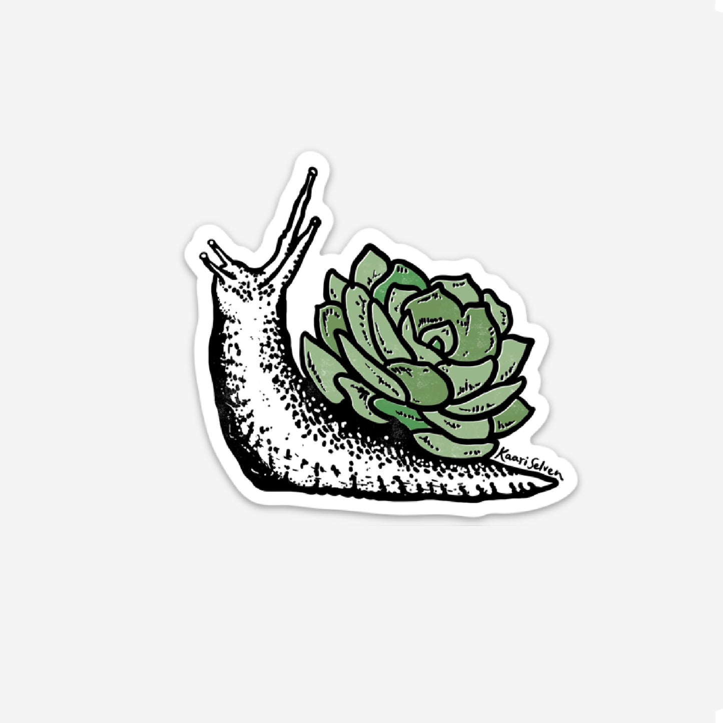Succulent Snail Vinyl Sticker