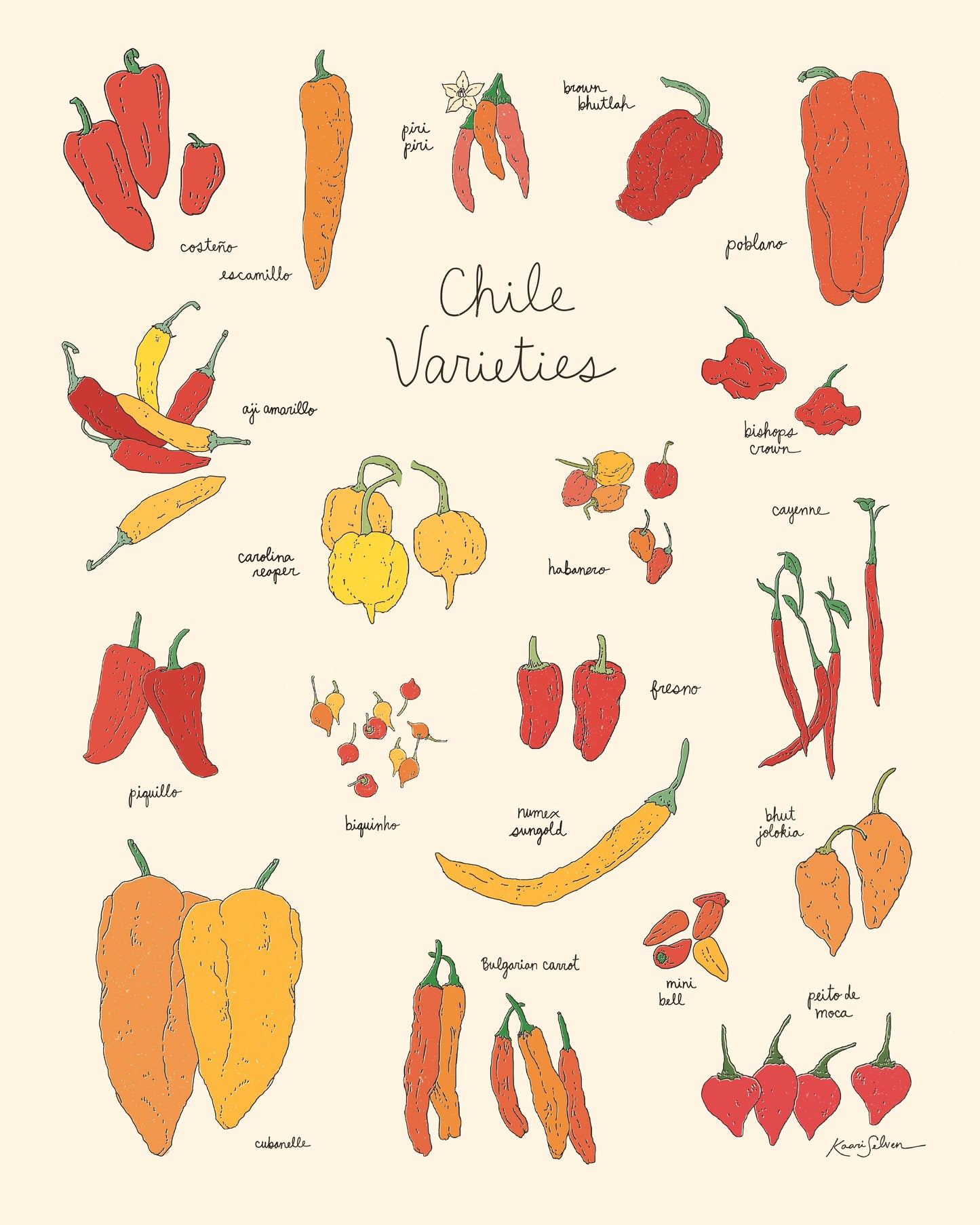 Chile Varieties Art Print - Open Edition