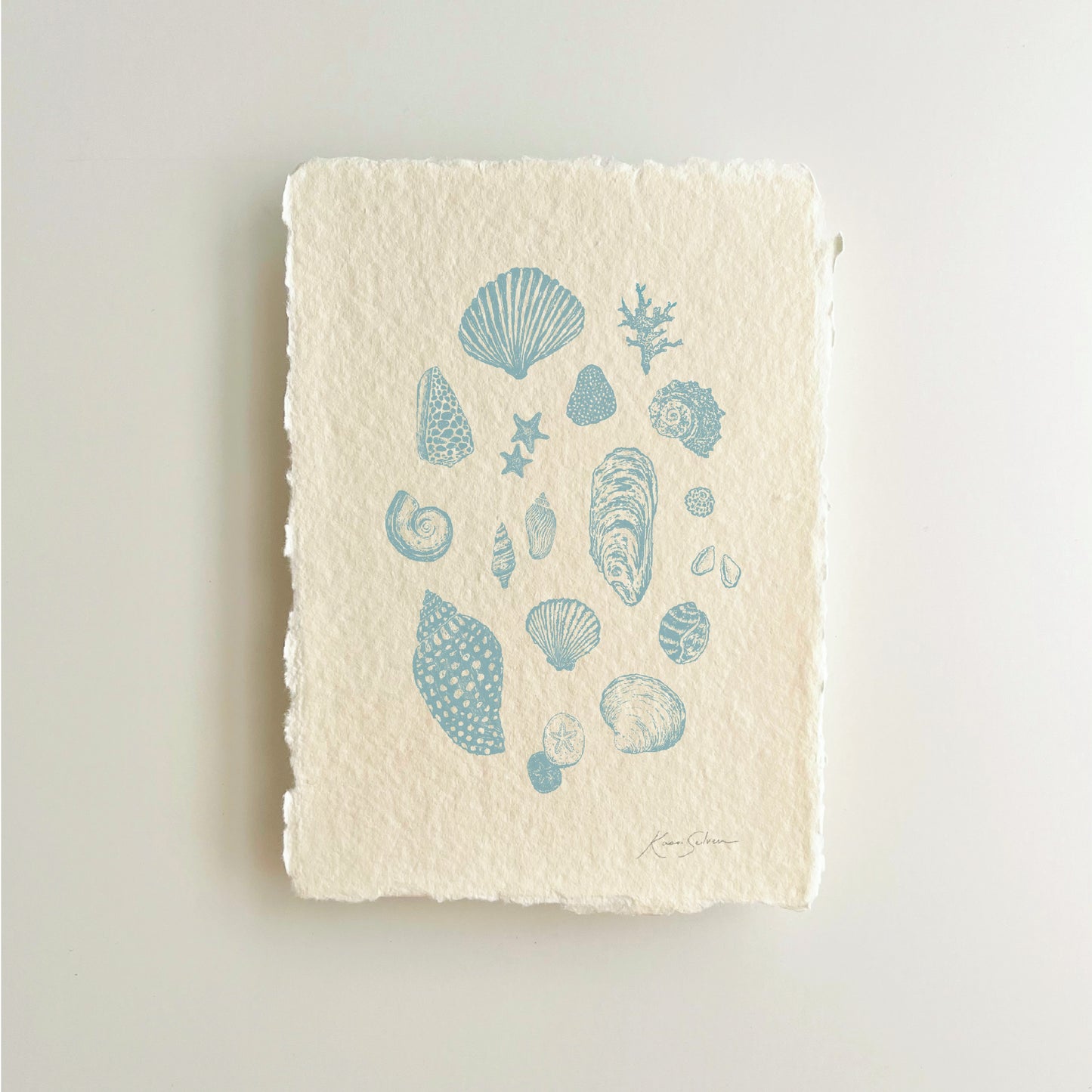 Seashell Sketches II Heirloom Art Print