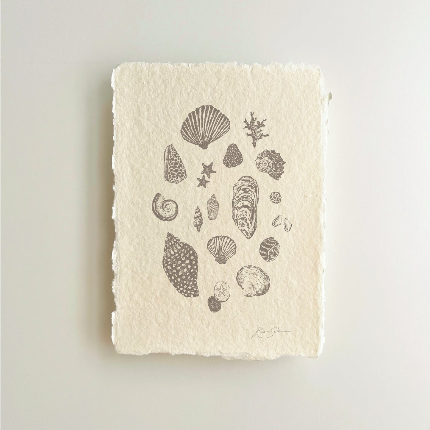 Seashell Sketches II Heirloom Art Print