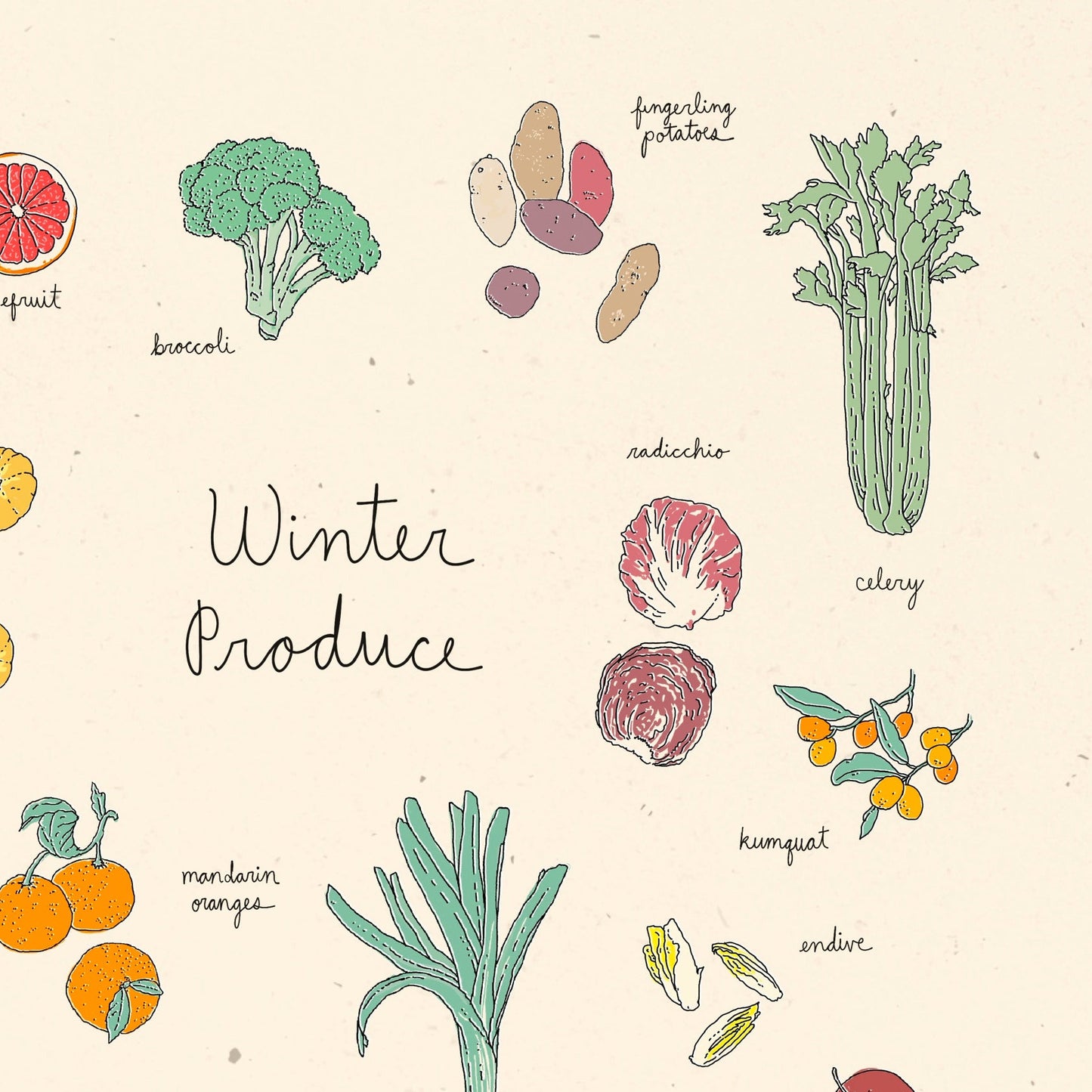 Winter Produce Art Print