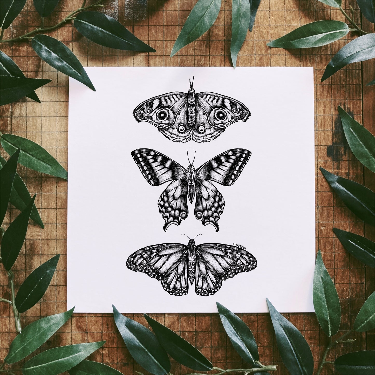 Three Butterflies Art Print