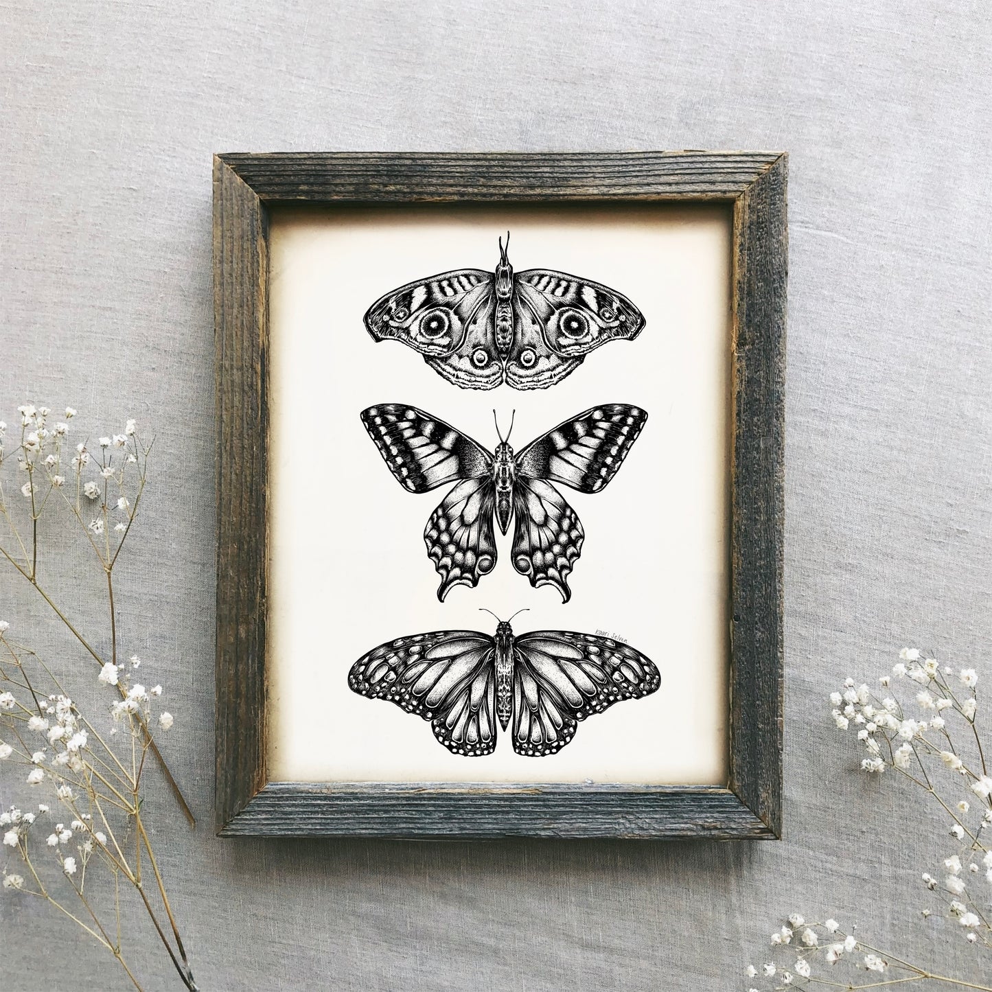 Three Butterflies Art Print