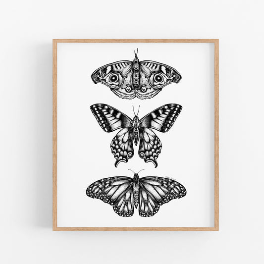 Three Butterflies Art Print