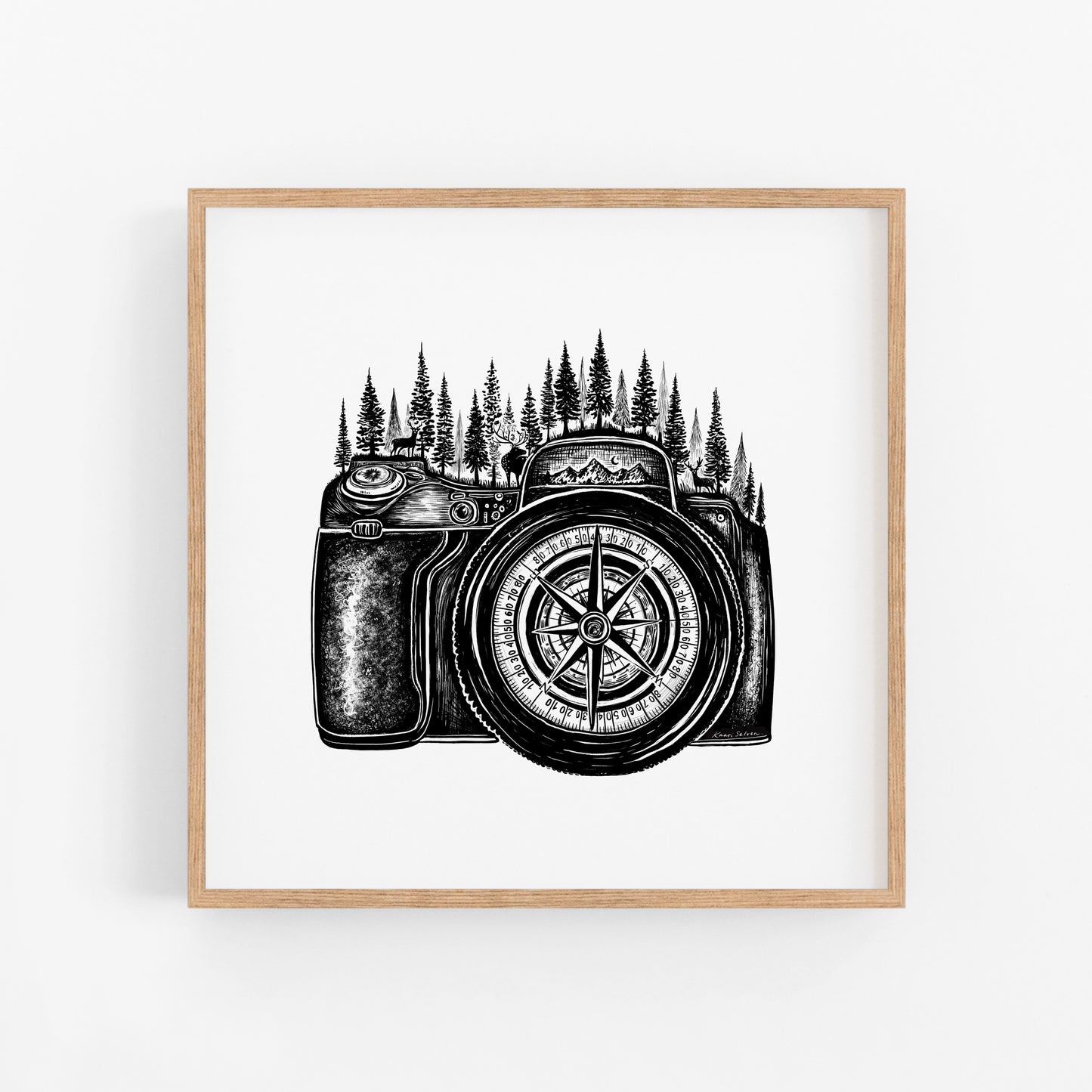 Compass Camera Art Print