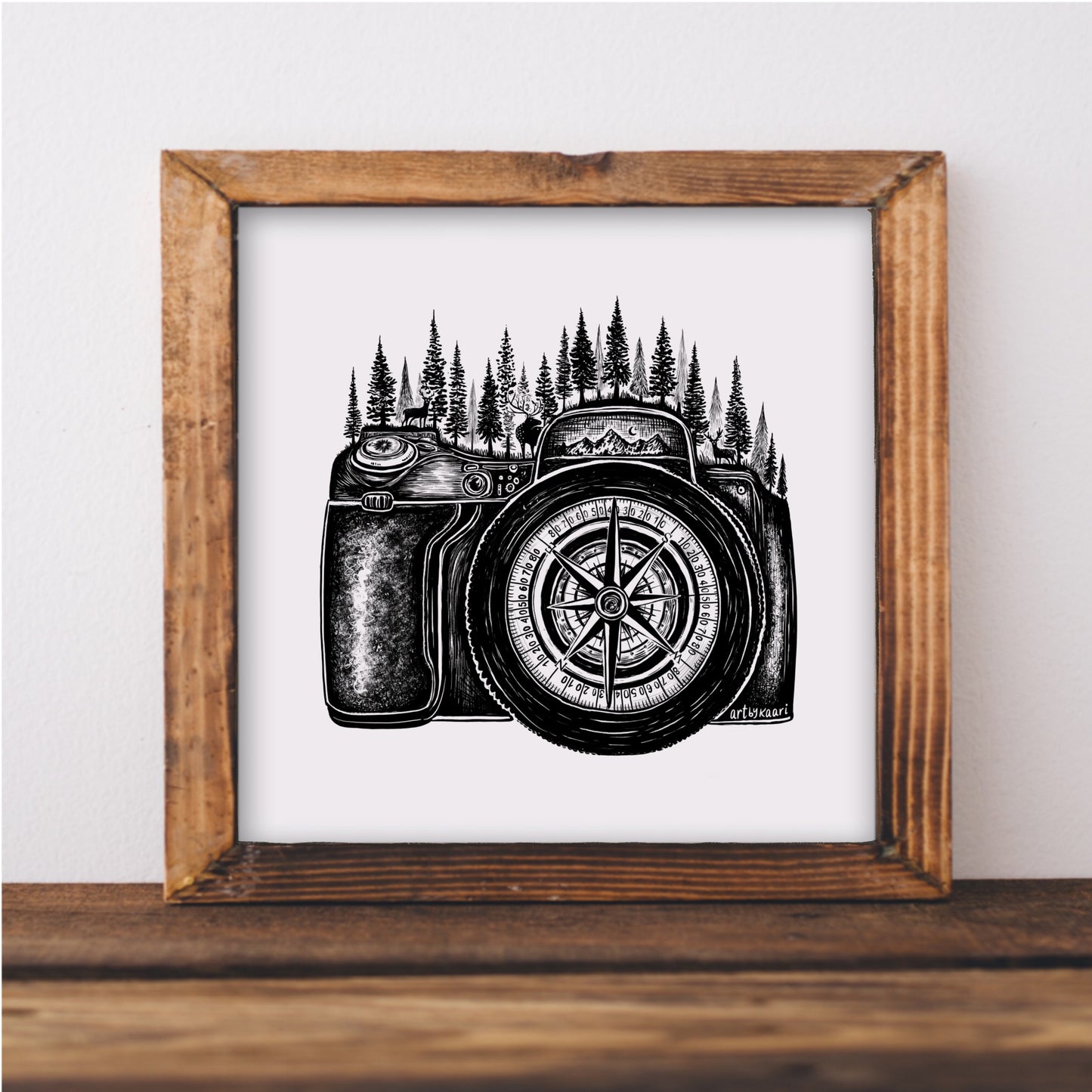 Compass Camera Art Print