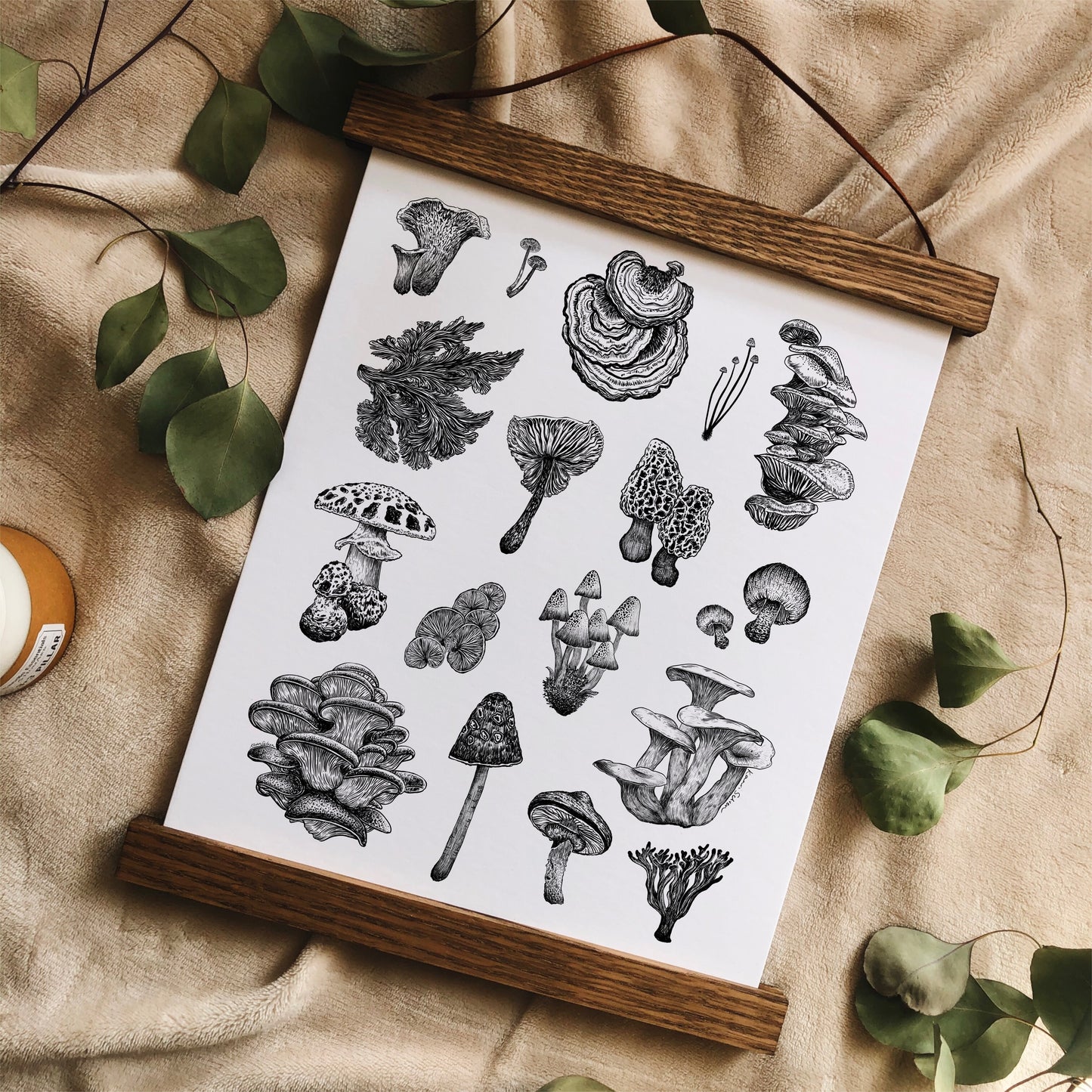 Mushroom Varieties Art Print