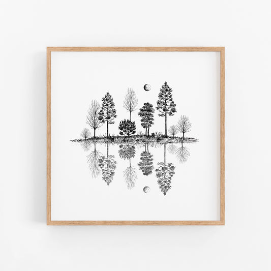 Tree Reflections Art Print