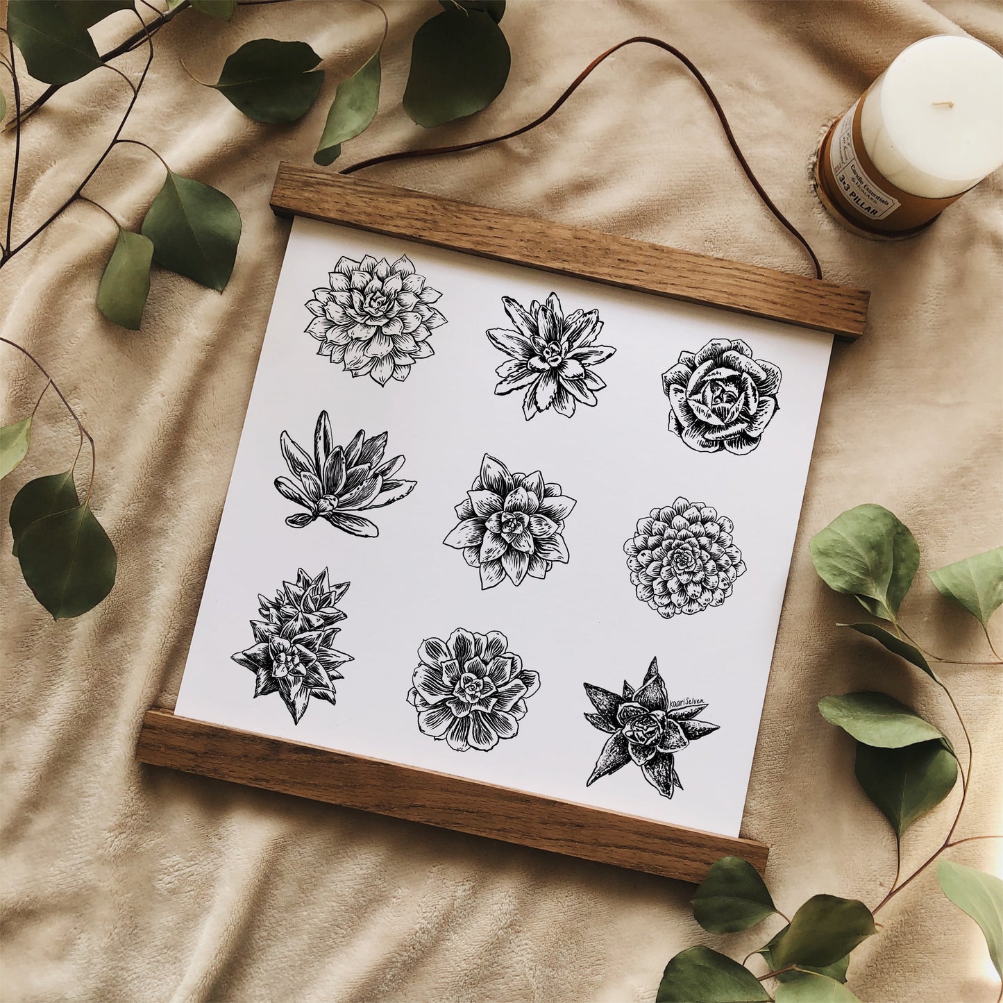 Succulent Varieties Art Print