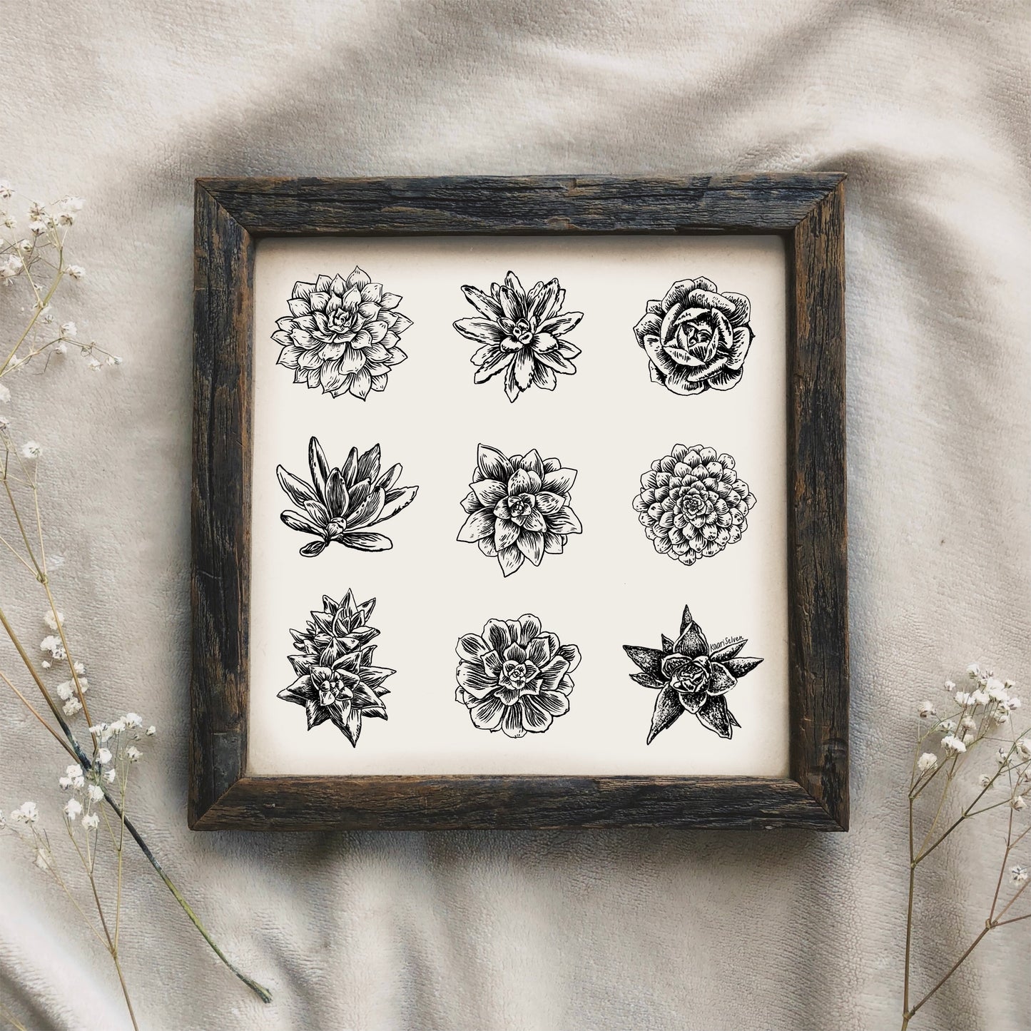 Succulent Varieties Art Print