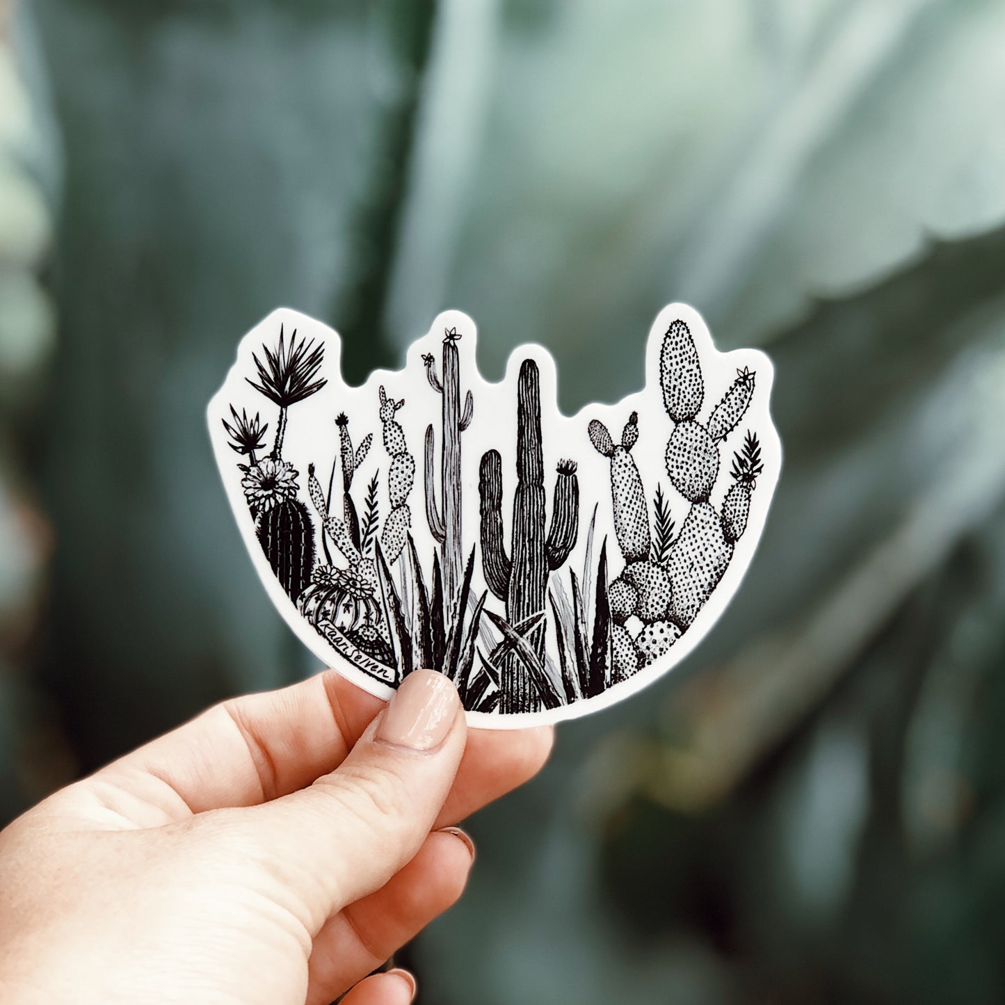 Cacti Circle Vinyl Sticker