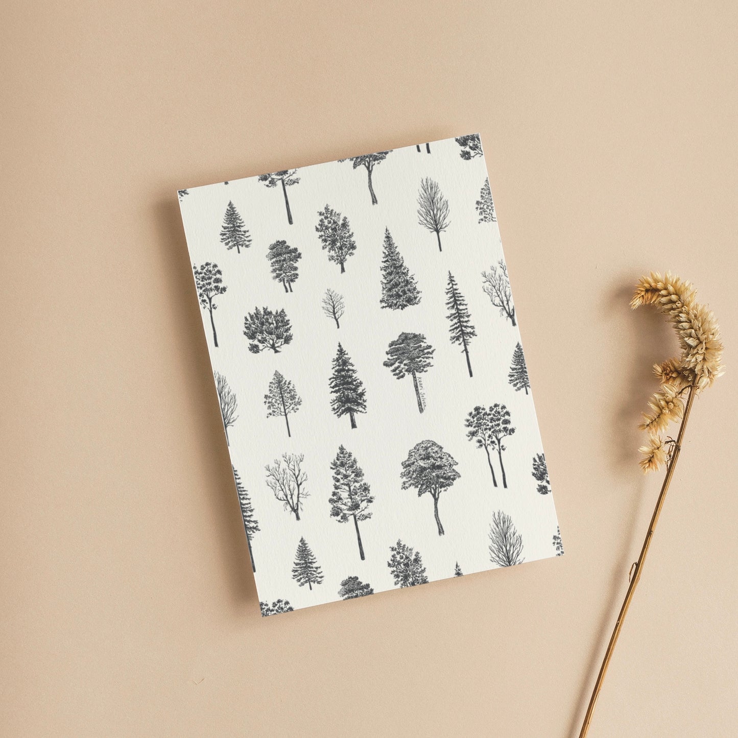 Tree Varieties Drawings Greeting Card
