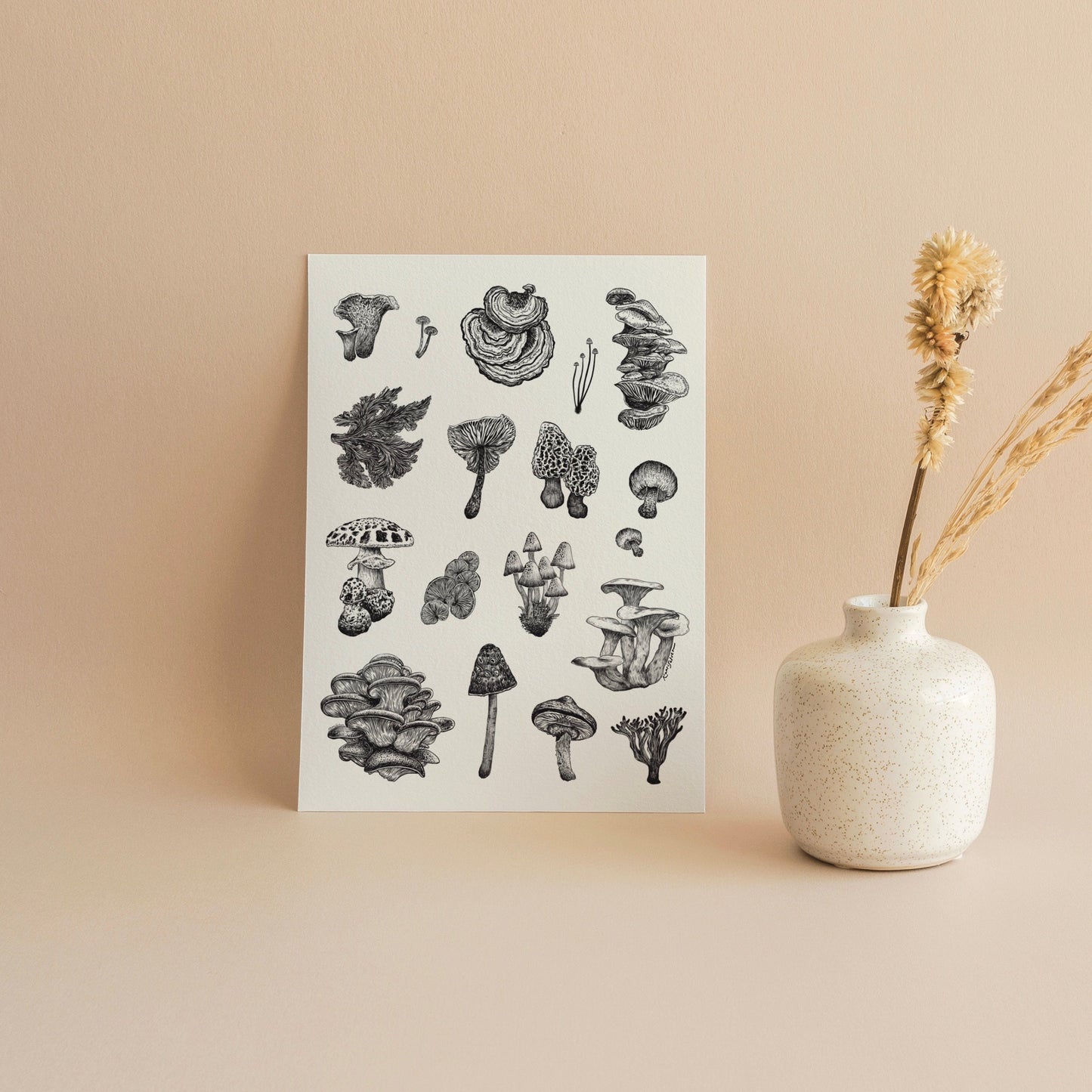 Mushroom Varieties Greeting Card