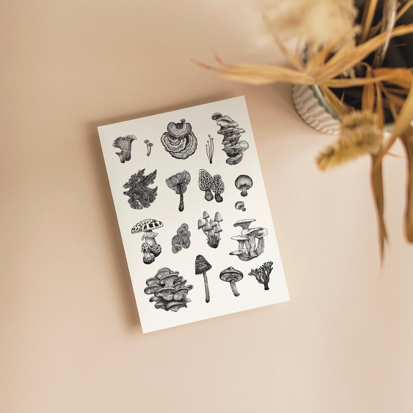 Mushroom Varieties Greeting Card