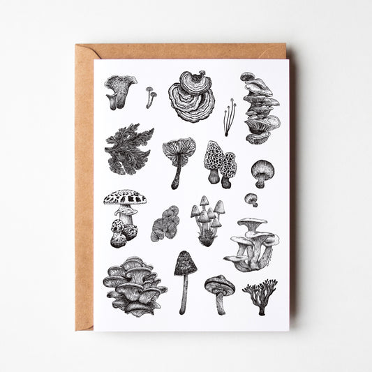 Mushroom Varieties Greeting Card