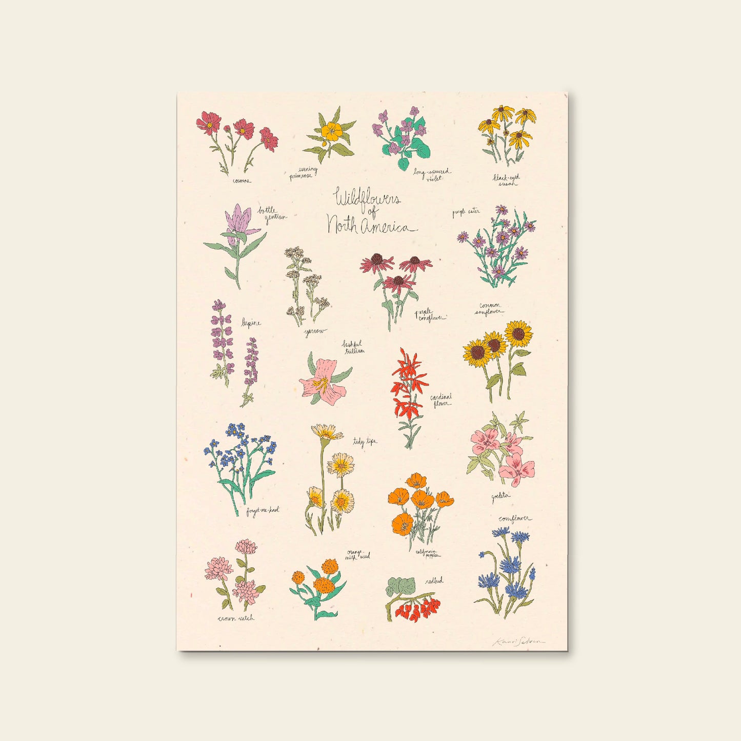 Wildflowers of North America Art Print