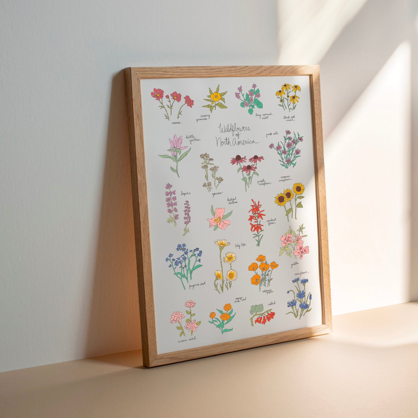 Wildflowers of North America Art Print