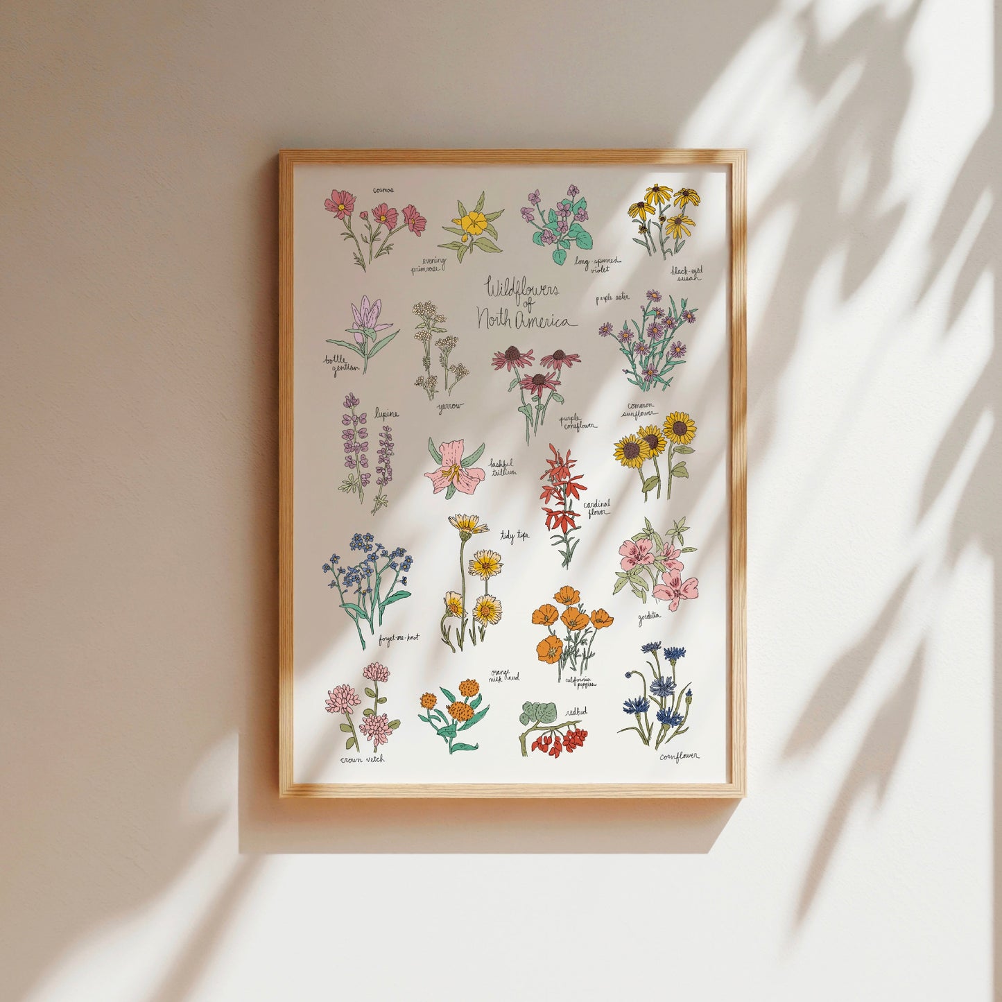 Wildflowers of North America Art Print