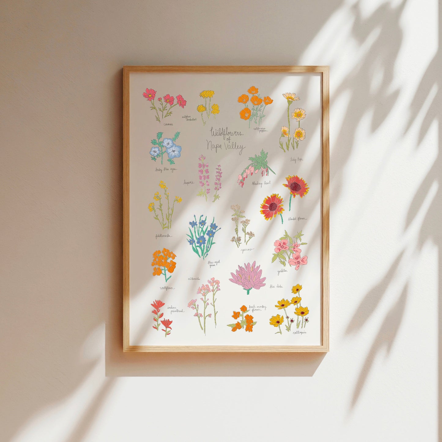 Wildflowers of Napa Valley Art Print