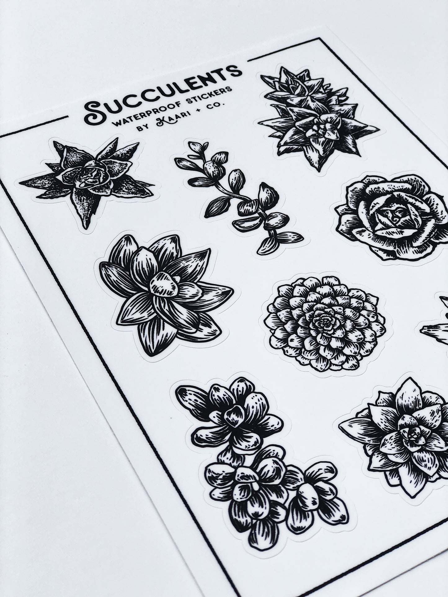 Succulent Varieties Sticker Sheet