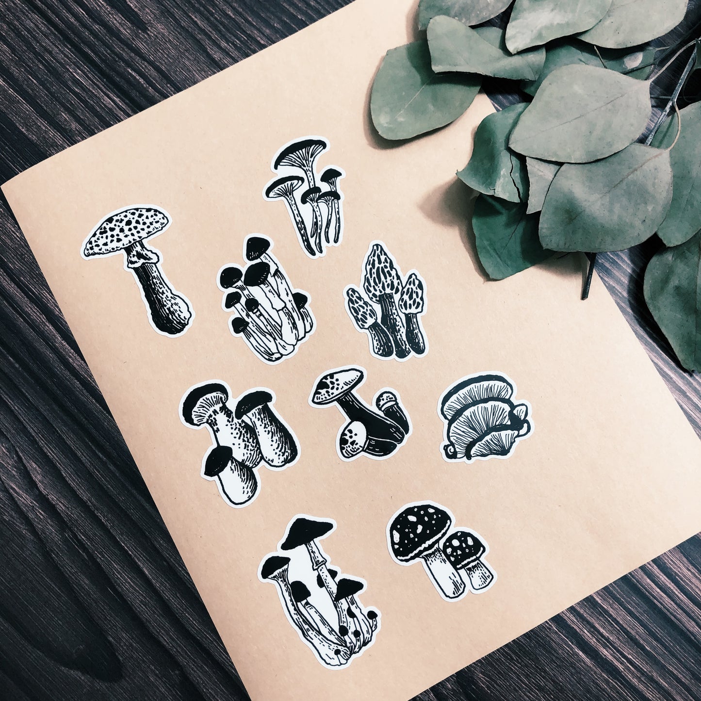 Mushroom Sticker Sheet