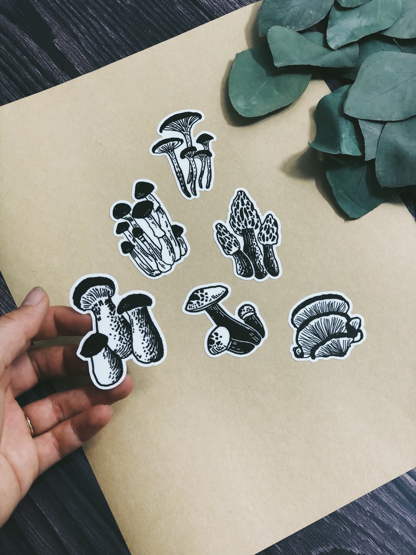 Mushroom Sticker Sheet