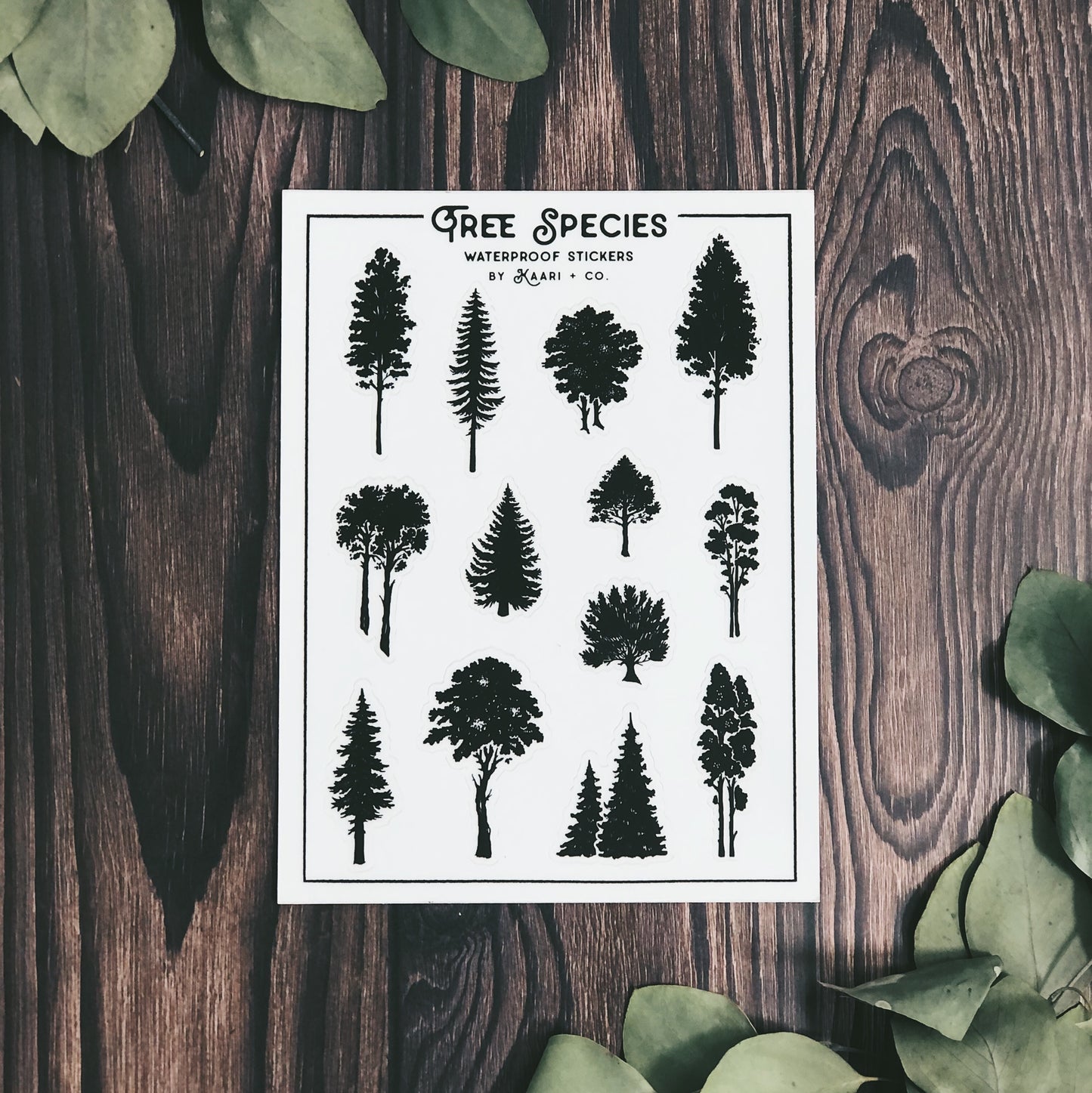 Tree Species Sticker Sheet