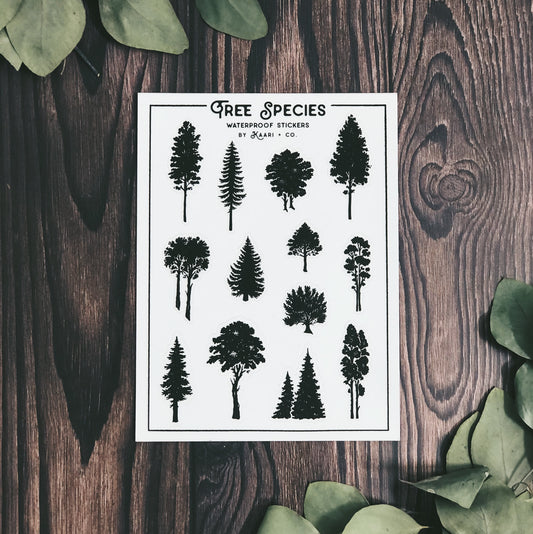 Tree Species Sticker Sheet
