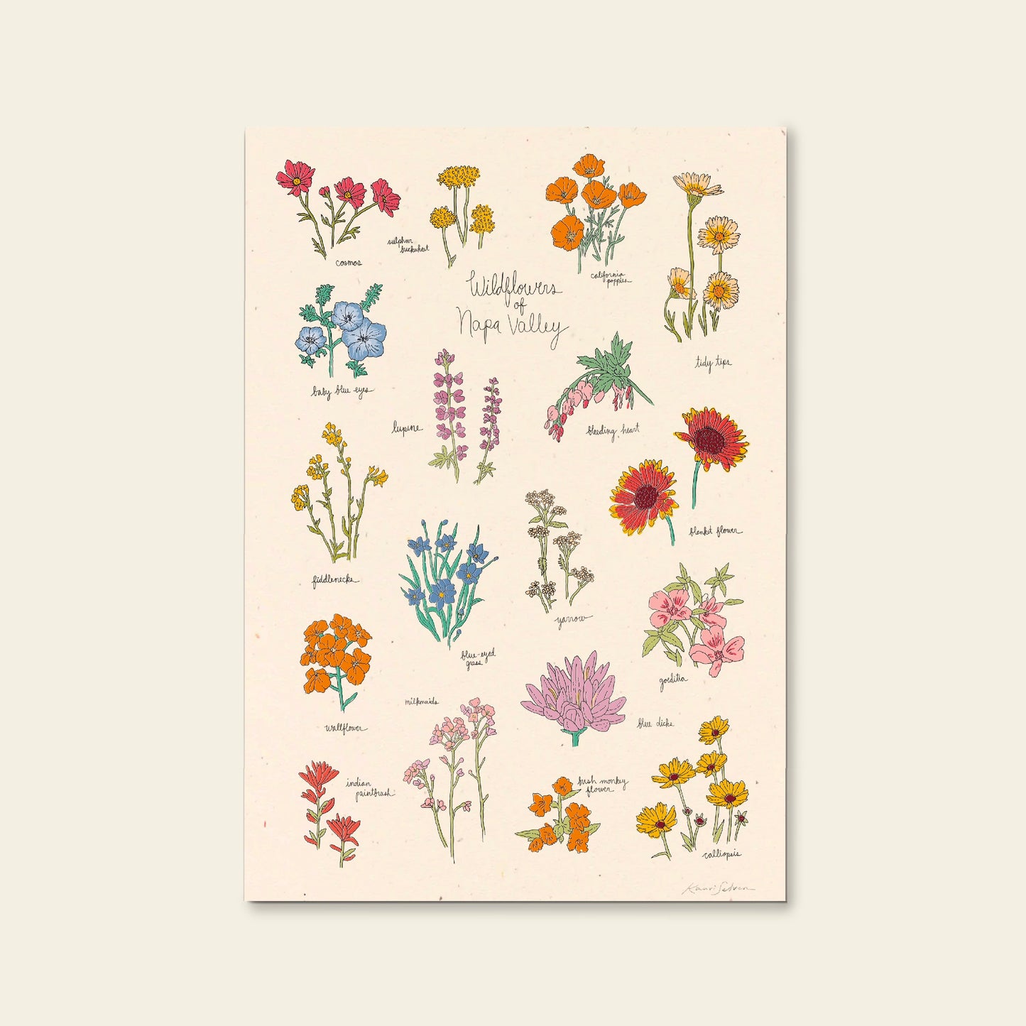 Wildflowers of Napa Valley Art Print