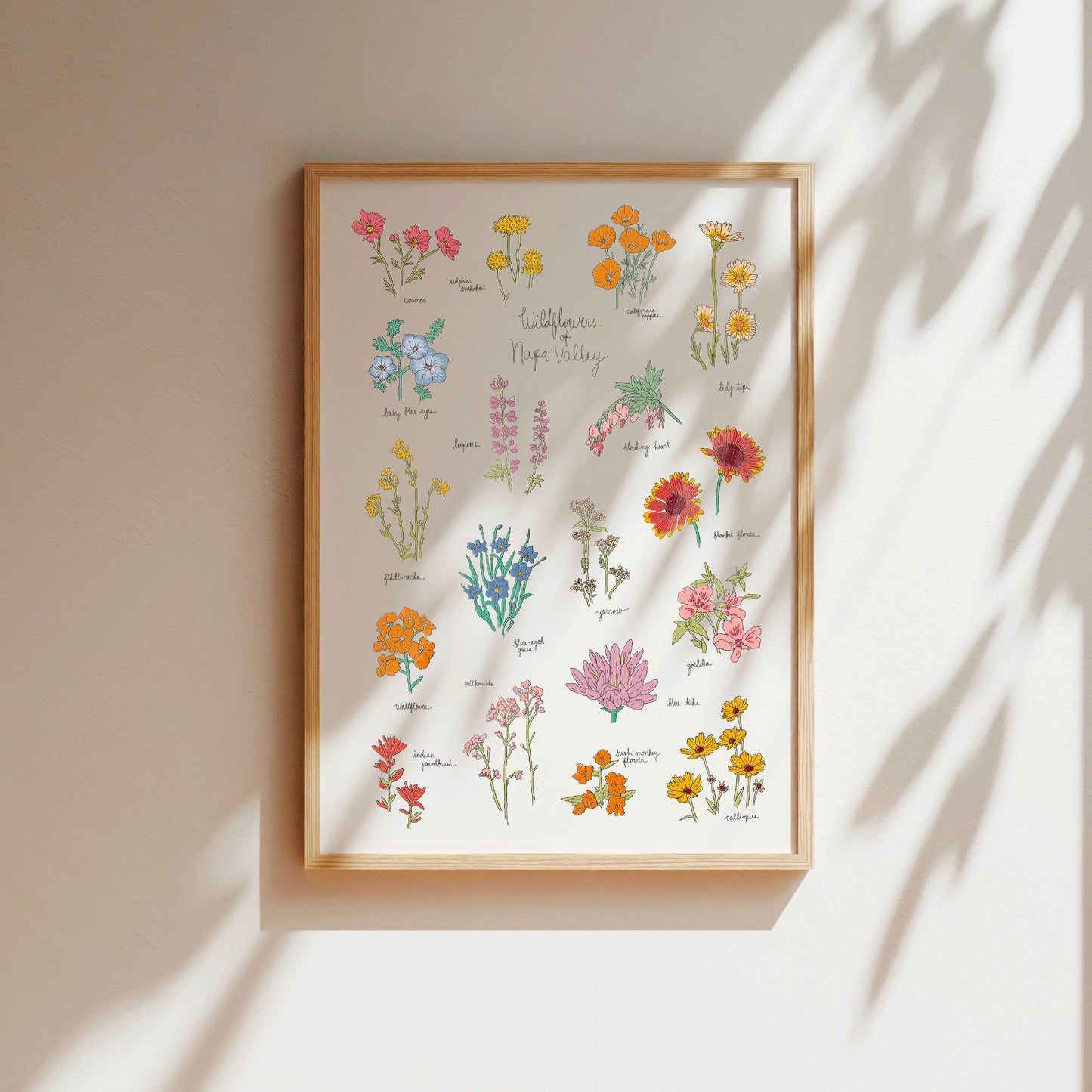 Wildflowers of Napa Valley Art Print