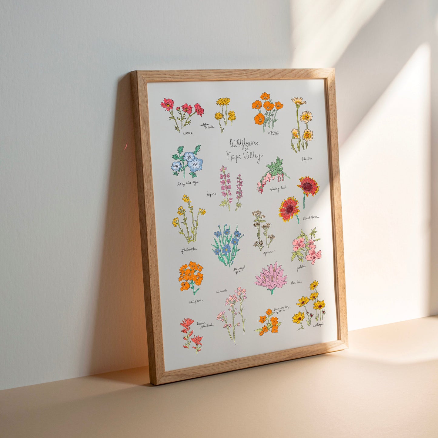 Wildflowers of Napa Valley Art Print