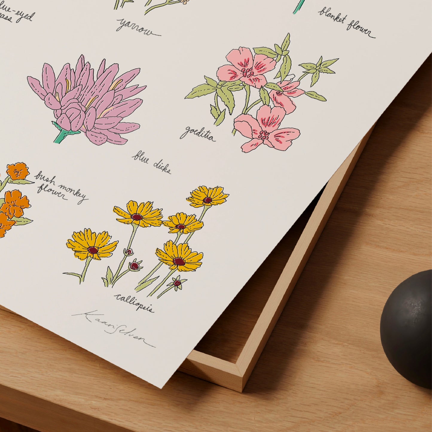 Wildflowers of Napa Valley Art Print