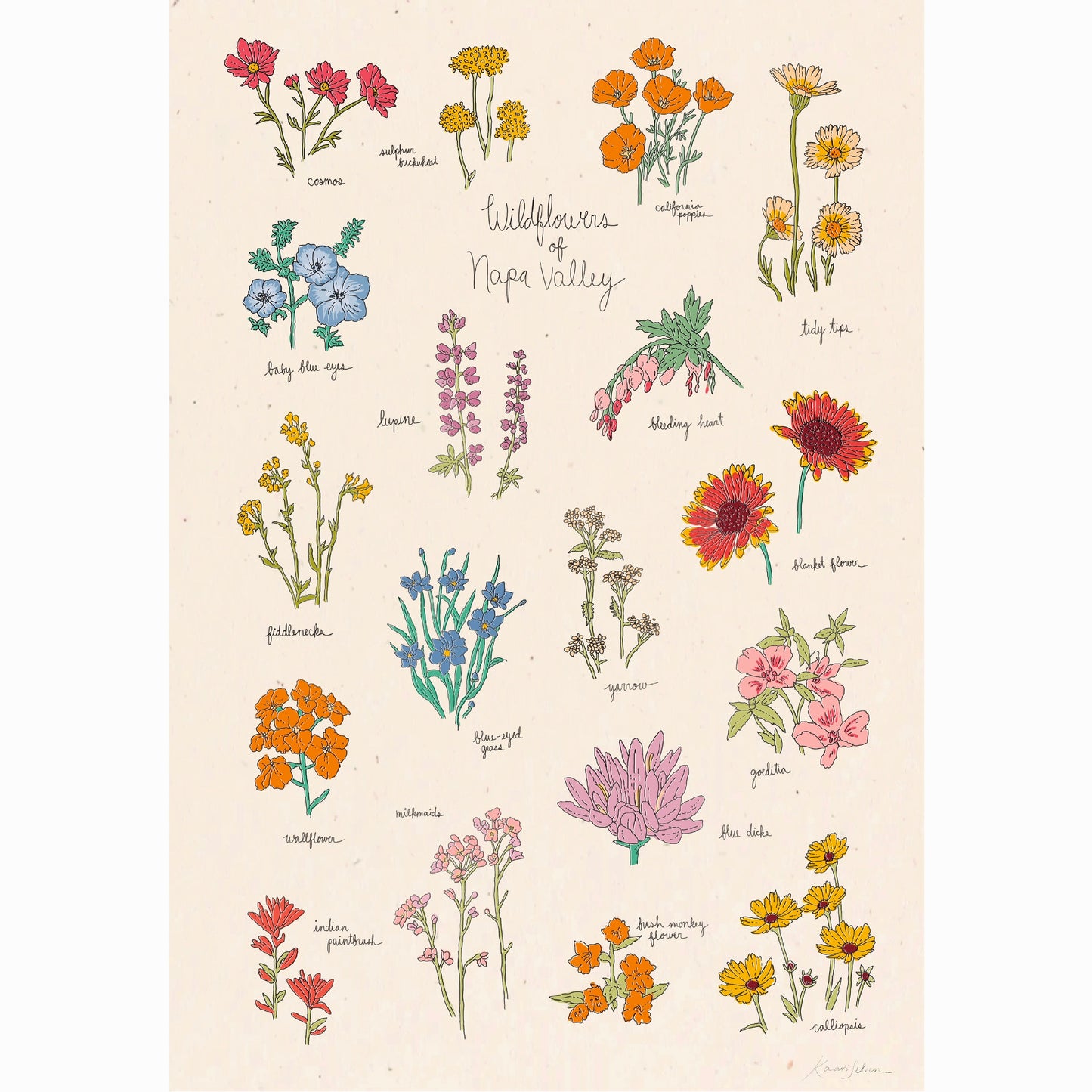 Wildflowers of Napa Valley Art Print