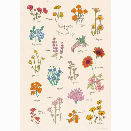 Wildflowers of Napa Valley Art Print