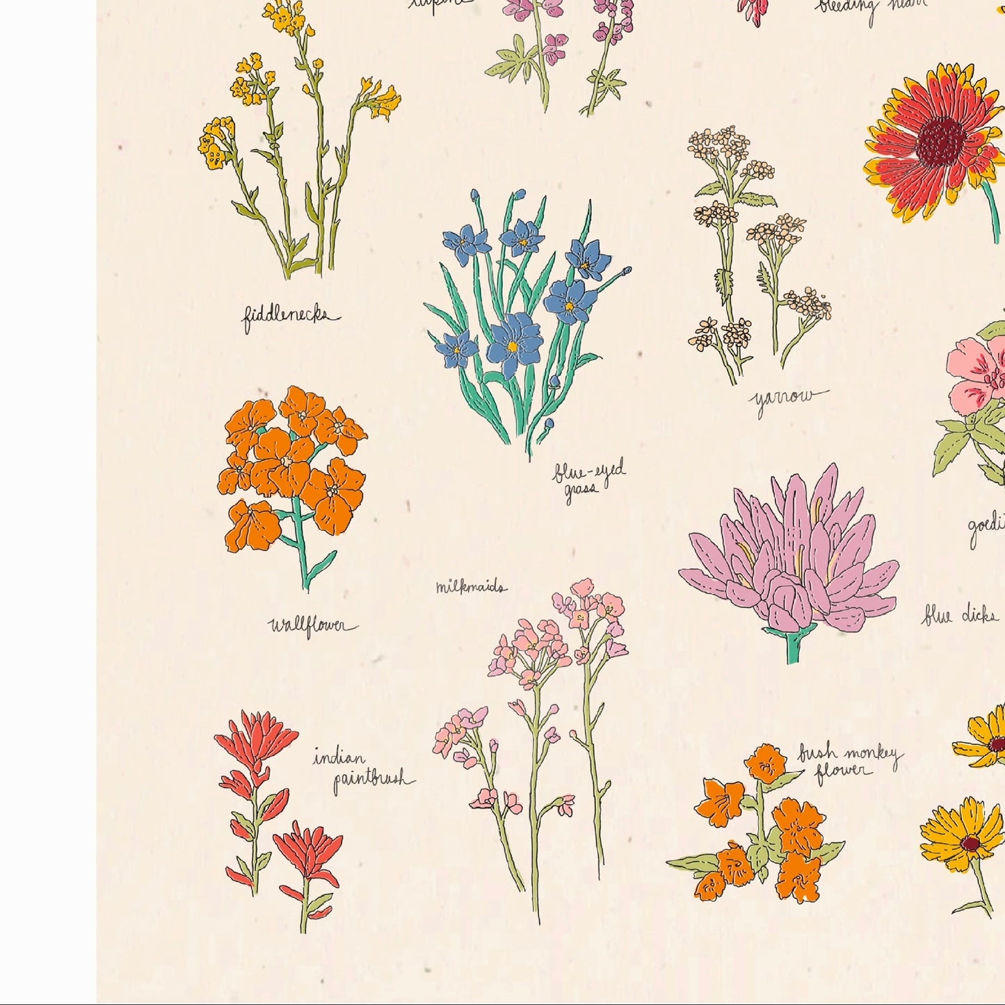 An art print featuring a collection of variously colored flowers and foliage, labeled with the names of the flowers and a brief description.