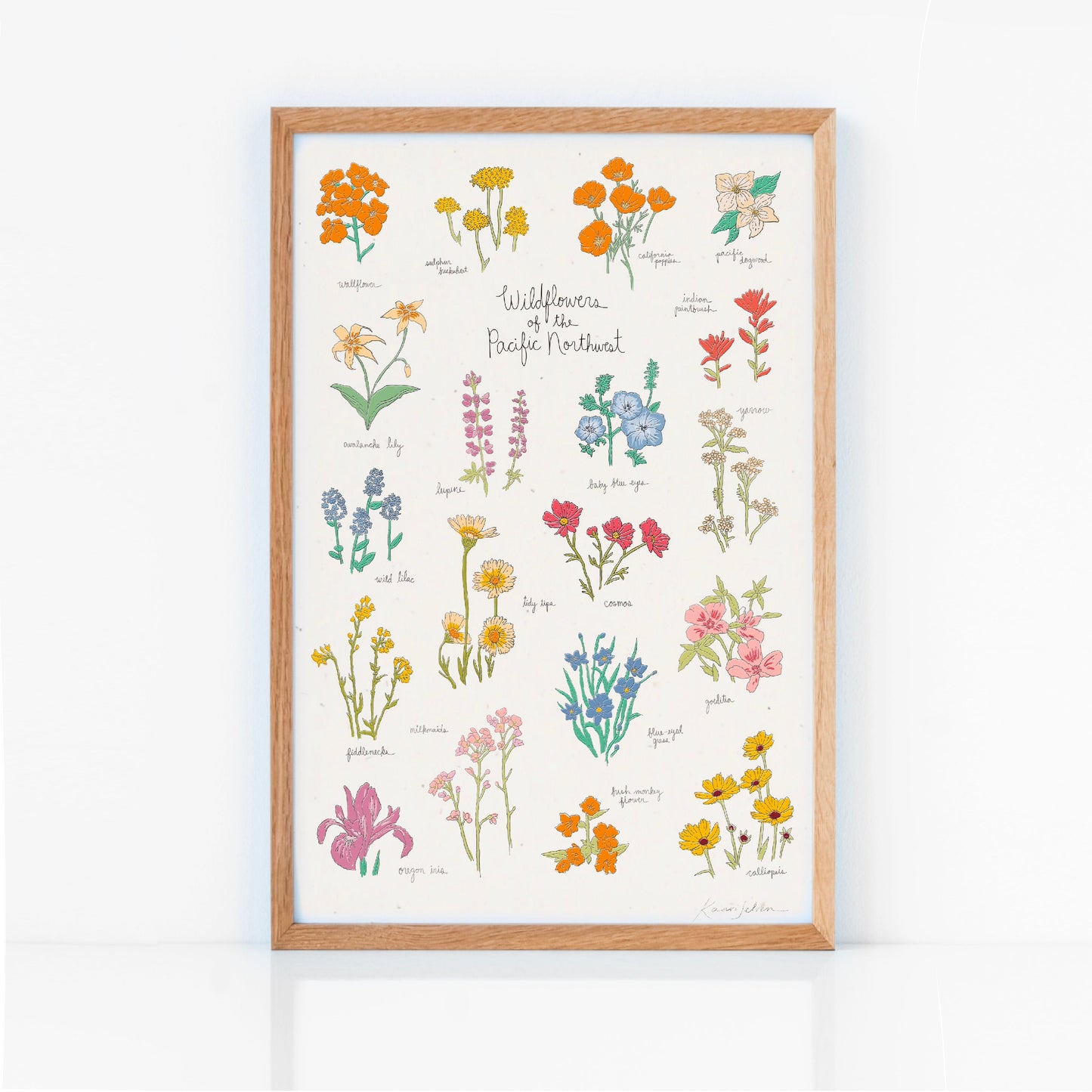 Wildflowers of the Pacific Northwest Art Print