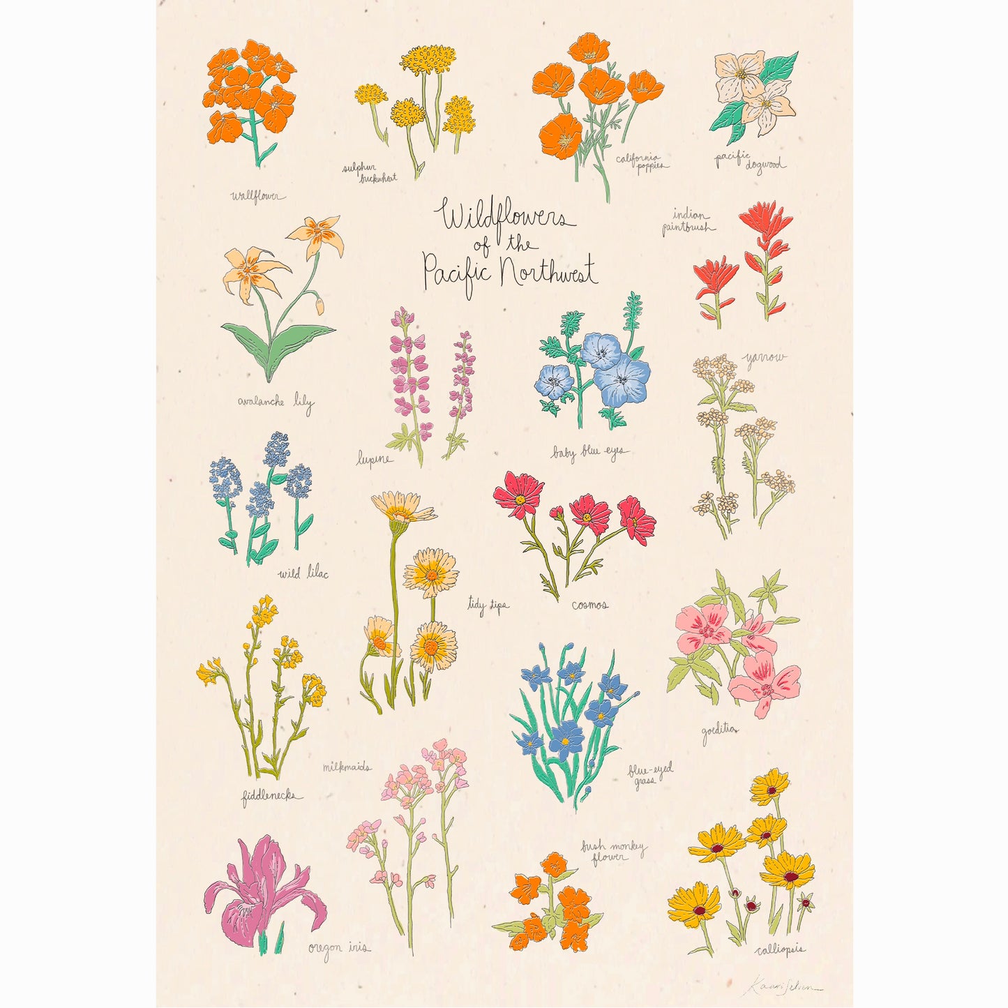 Wildflowers of the Pacific Northwest Art Print