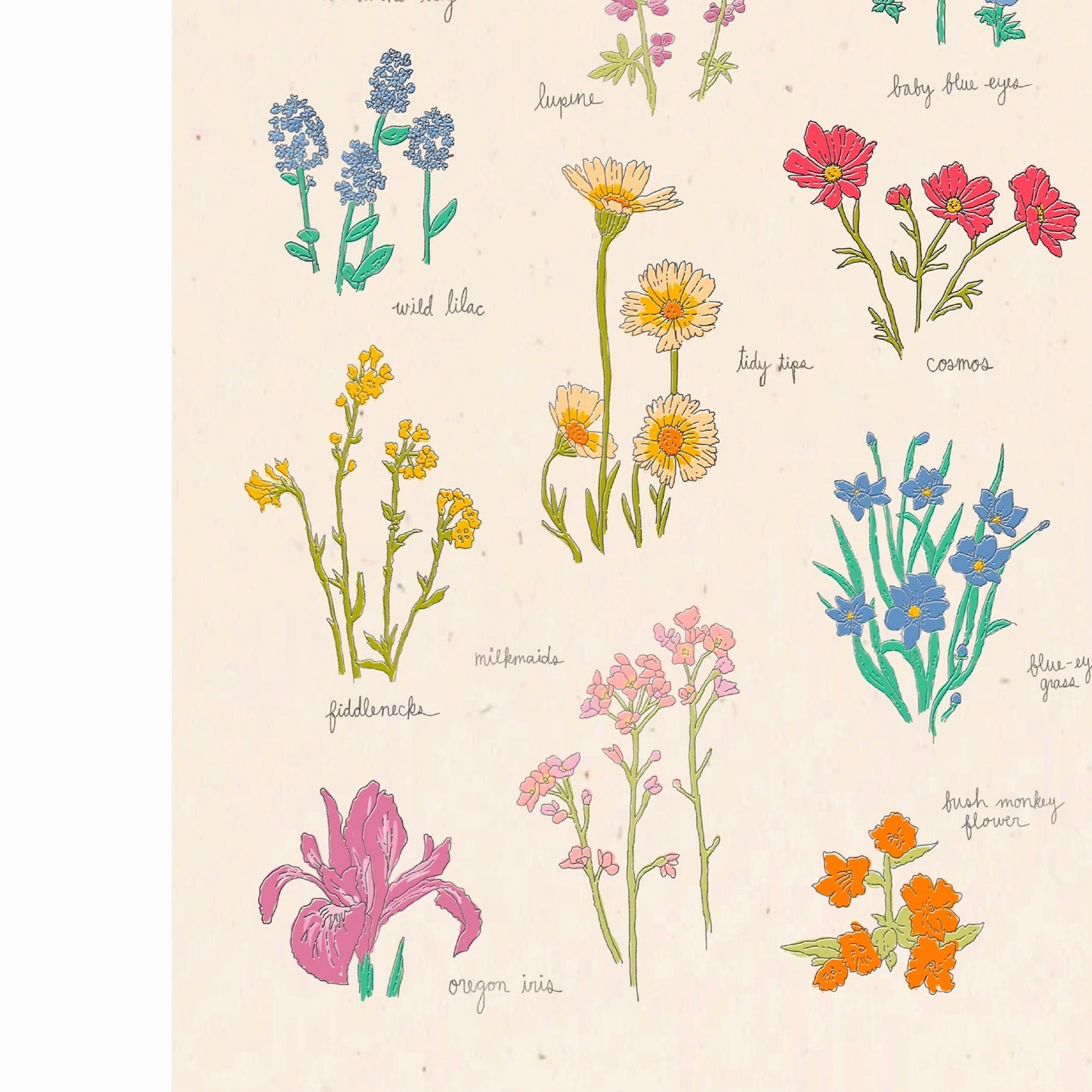 Wildflowers of the Pacific Northwest Art Print