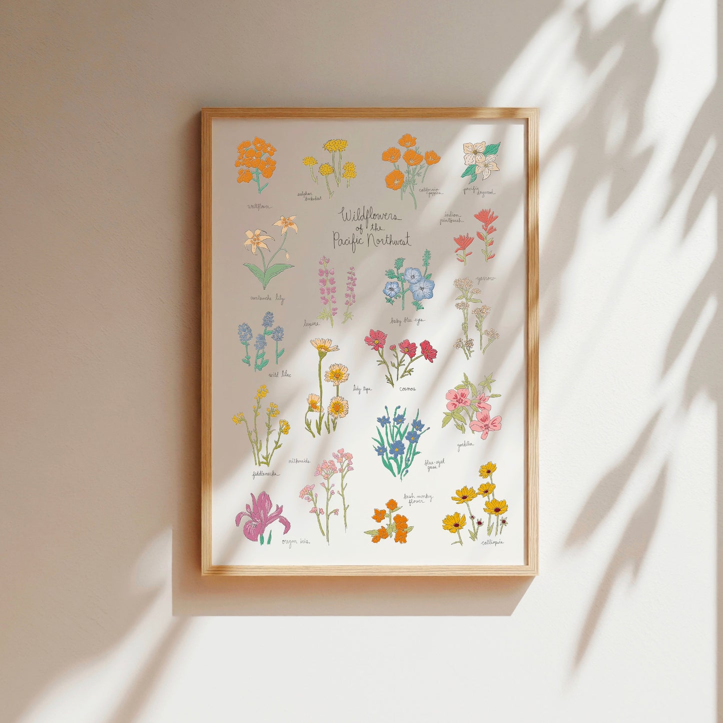 Wildflowers of the Pacific Northwest Art Print