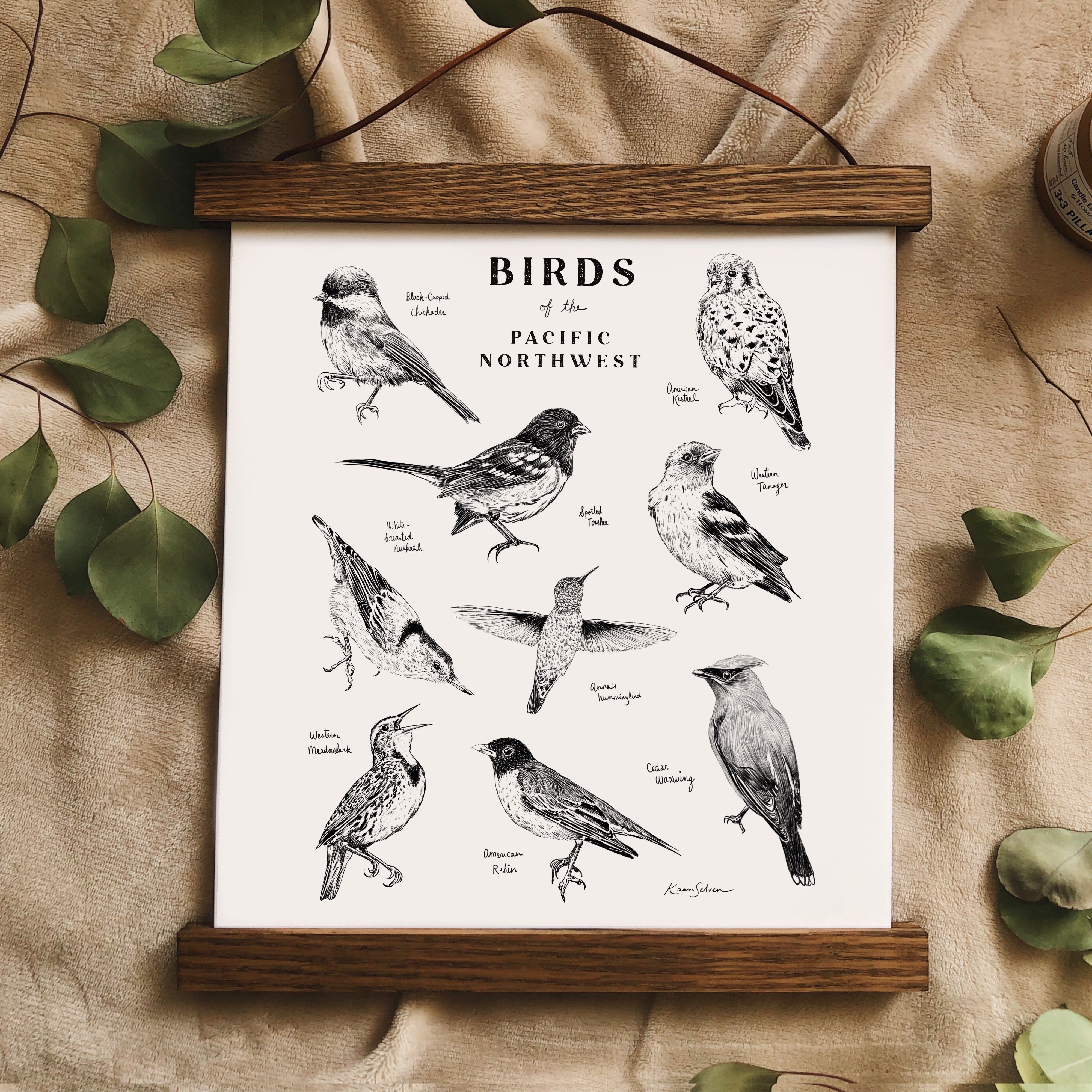 Birds of the Pacific Northwest Art Print