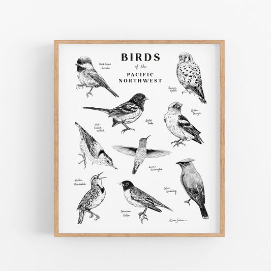 Birds of the Pacific Northwest Art Print